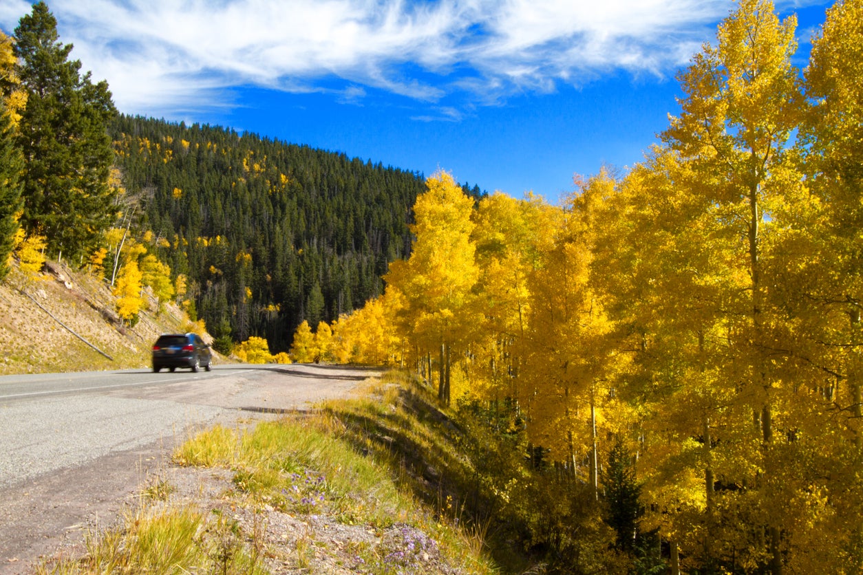 Golden aspens line a road in the Sangre de Cristo Mountains above Santa Fe, New Mexico