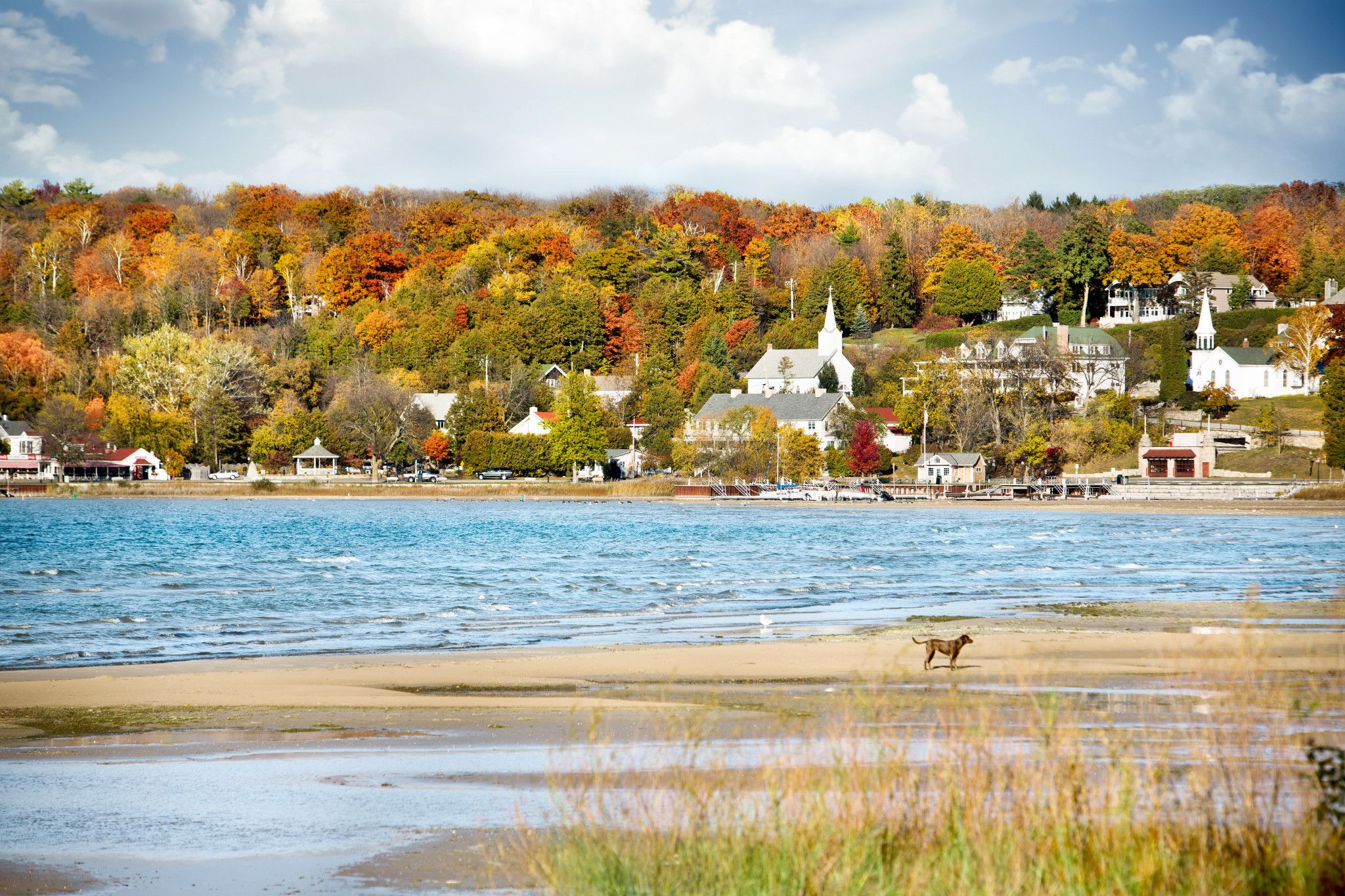 Fall foliage colors emerge in Wisconsin's Door County peninsula