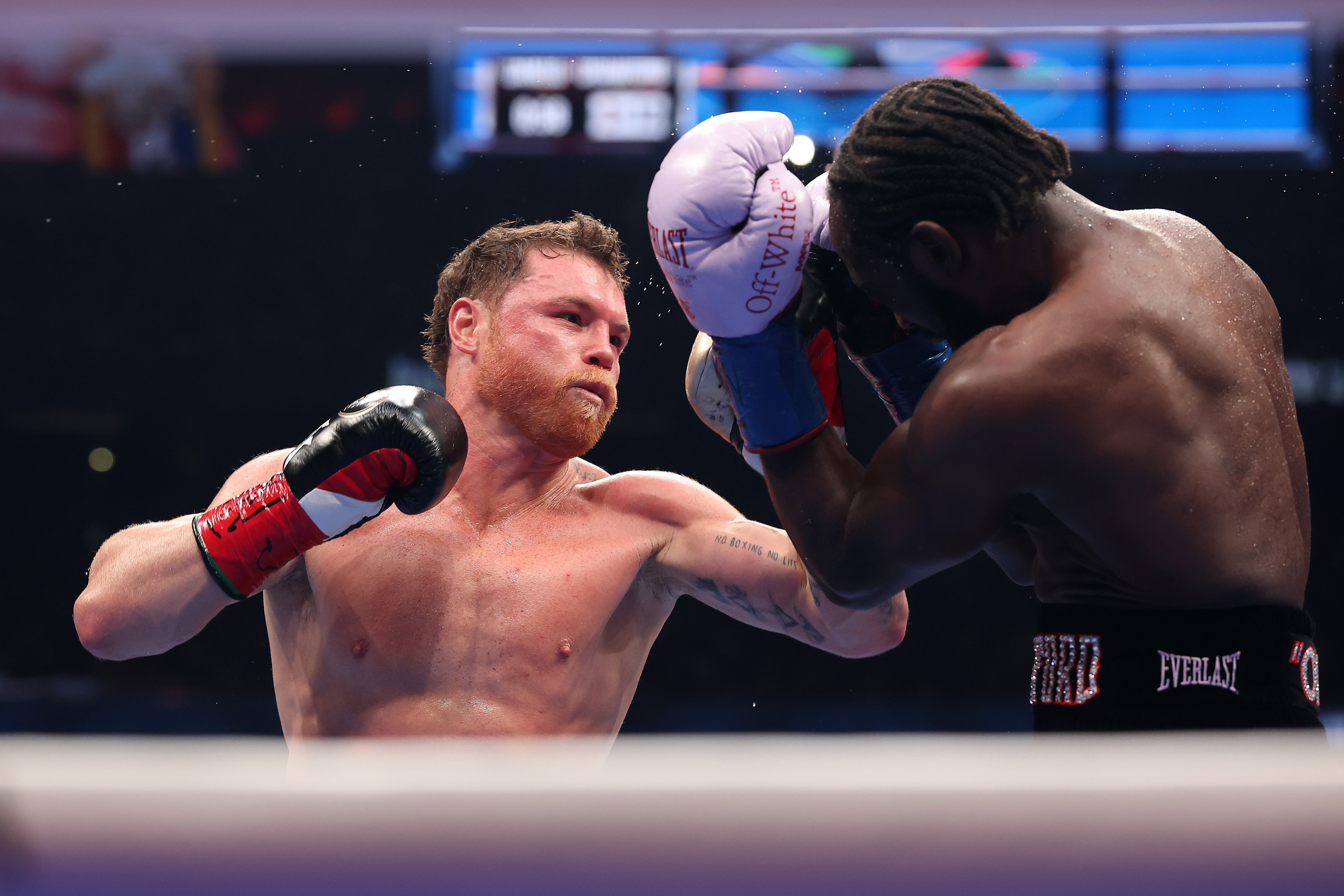 Canelo Alvarez set for surgery after Terence Crawford loss as return date is revealed