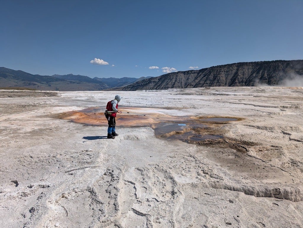 Yellowstone geologist Mara Reed uses a long grabber pole to remove a park map from the park’s Mammoth Hot Springs