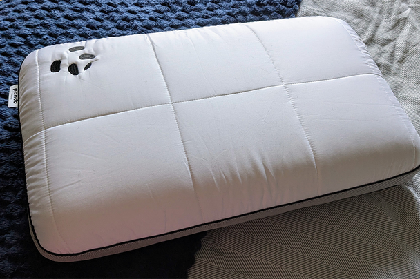A Panda hybrid memory foam pillow