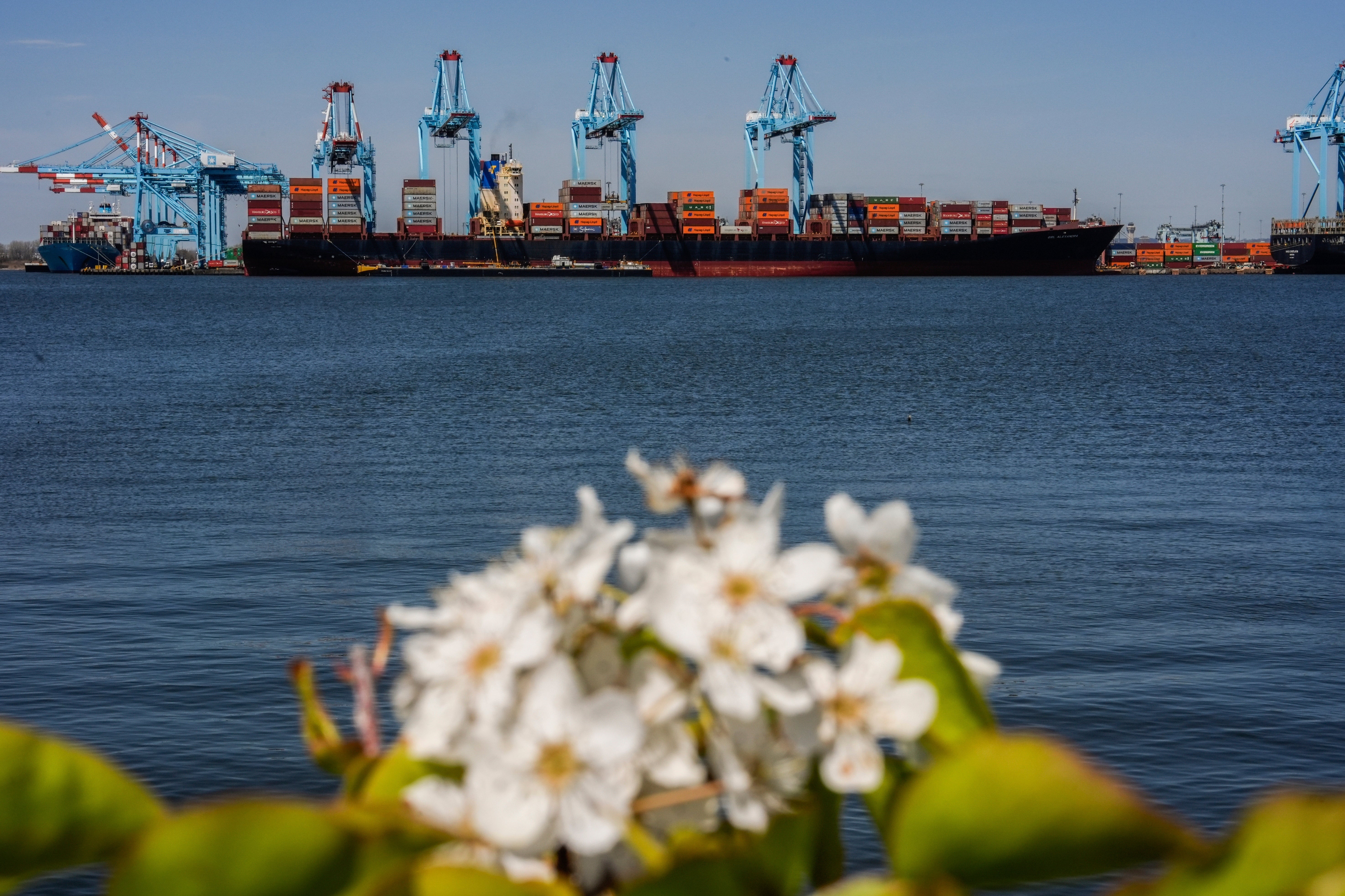 Climate International Shipping