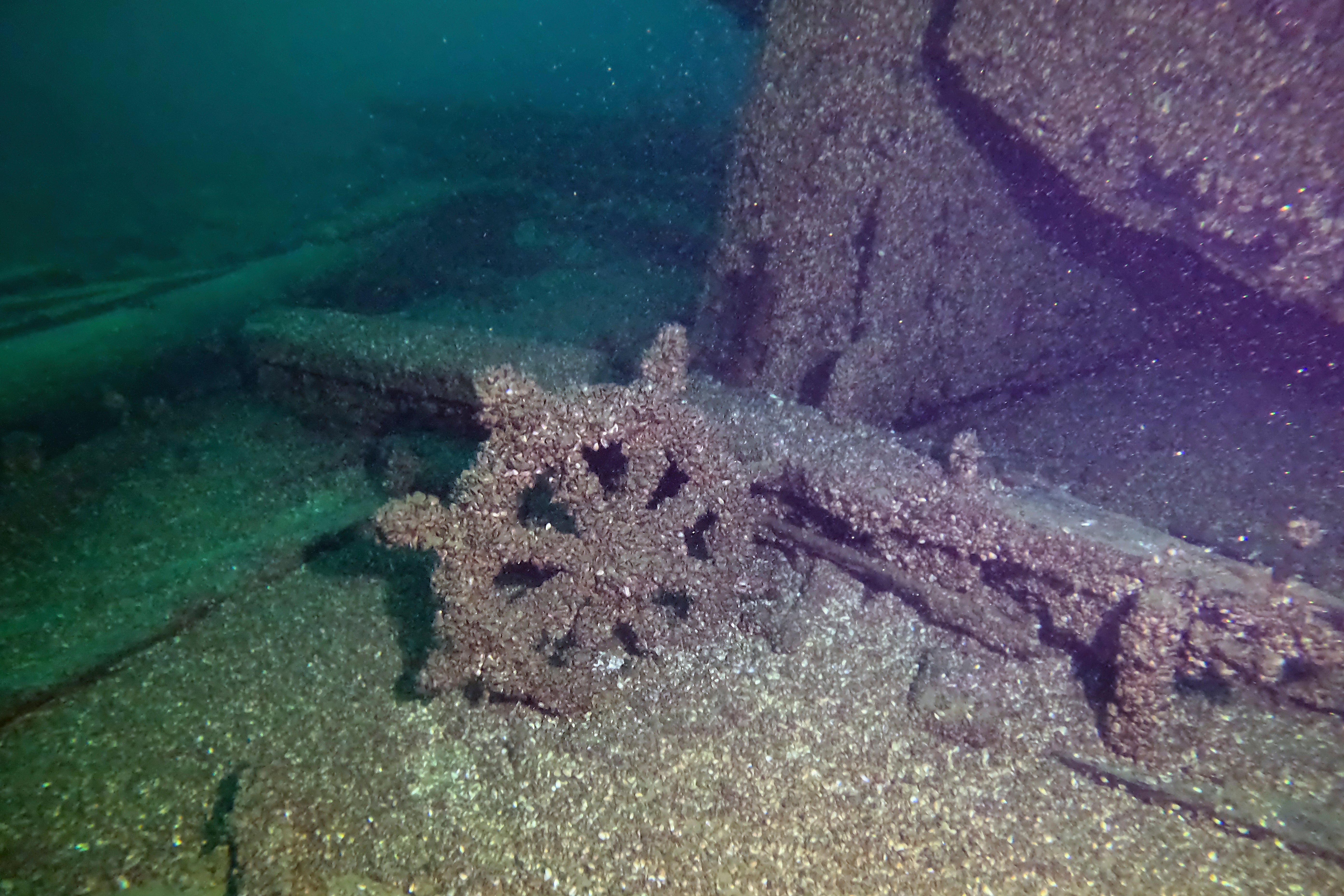 Lake Michigan Shipwreck