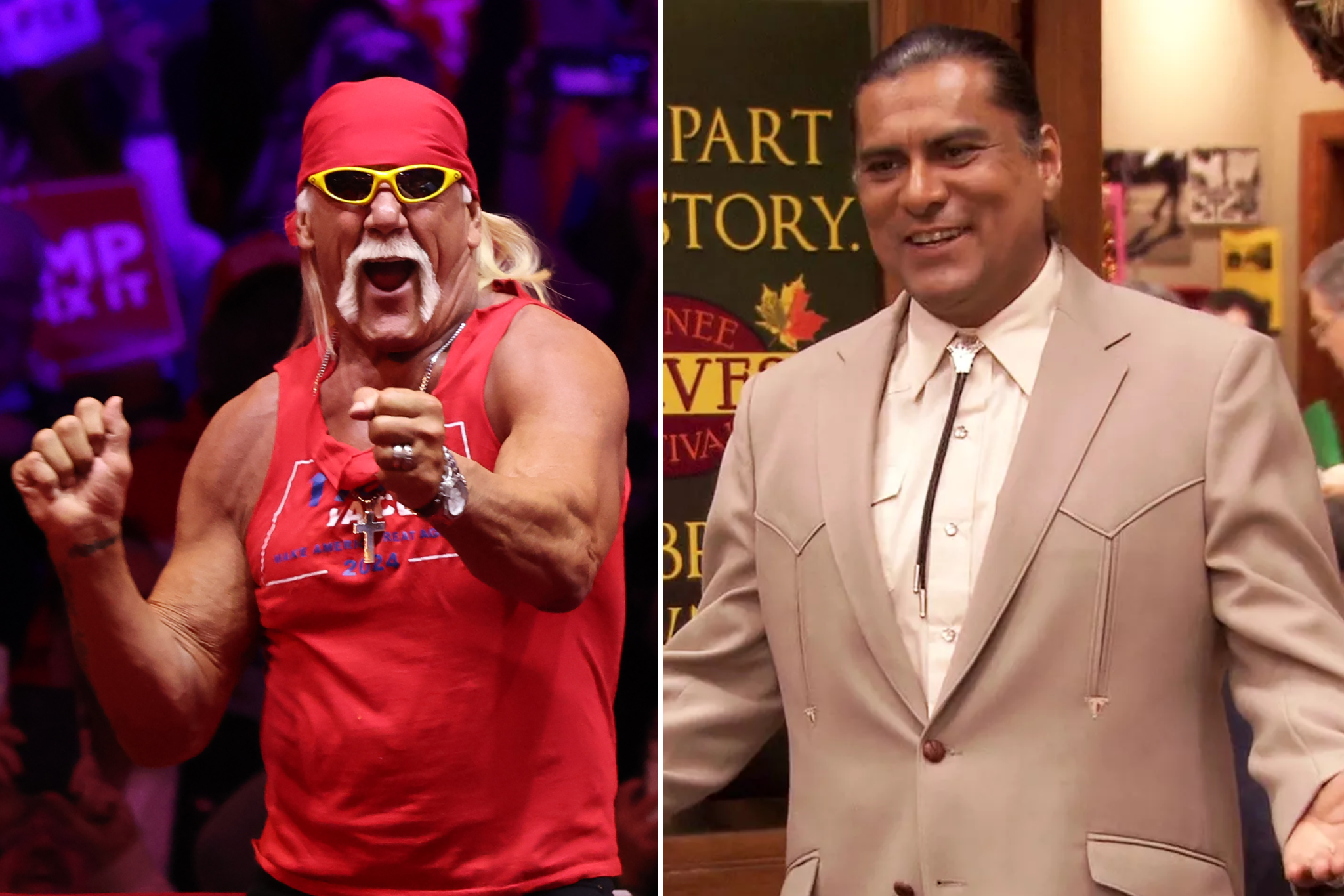 Hulk Hogan and Jonathan Joss were among stars left out of this year's Emmy Awards In Memoriam segment