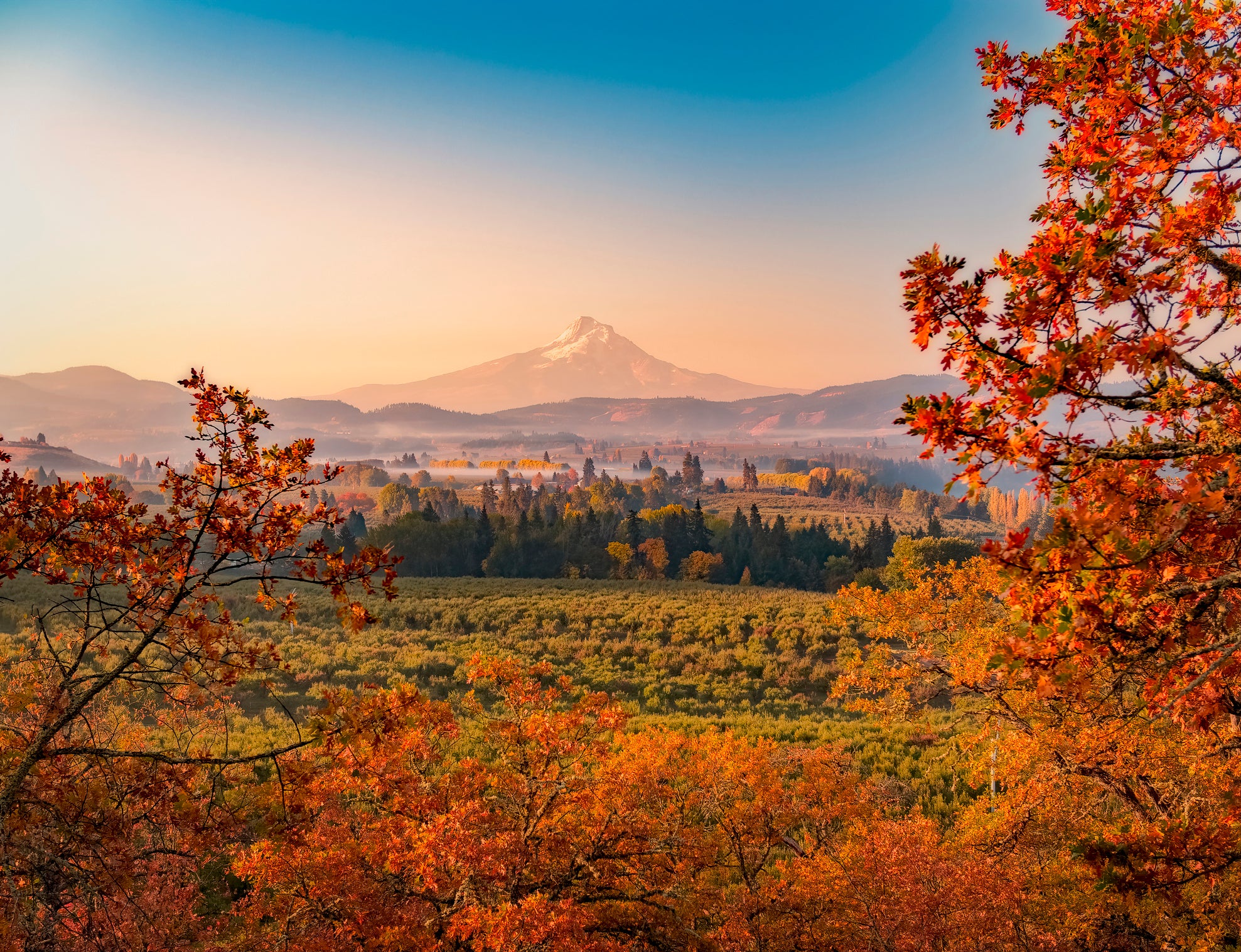 An autumn sunrise over orchards and vineyards in Oregon, with Mt Hood in the distance