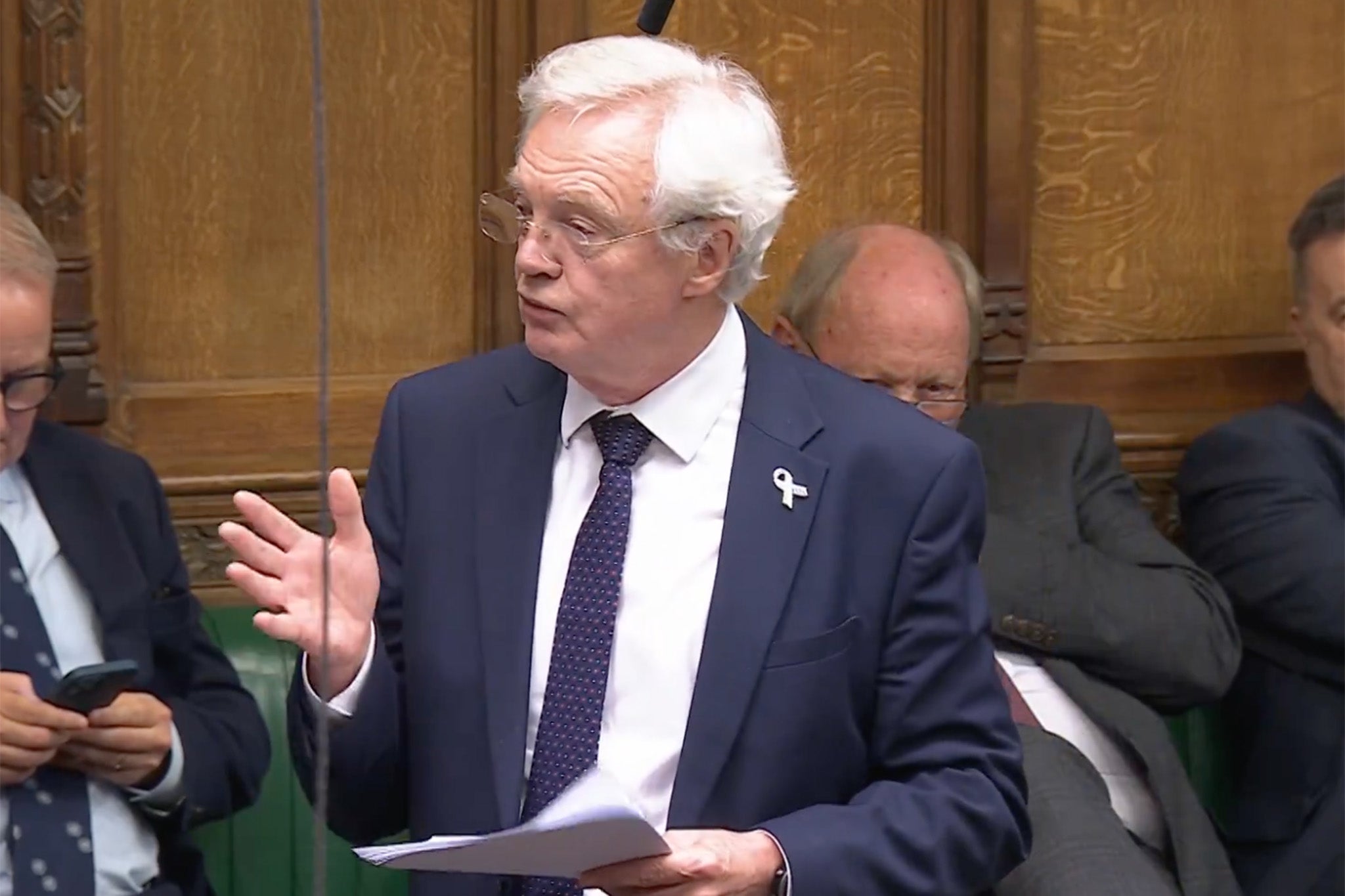 David Davis said Lord Mandelson’s links to Epstein had been ‘crystal clear’