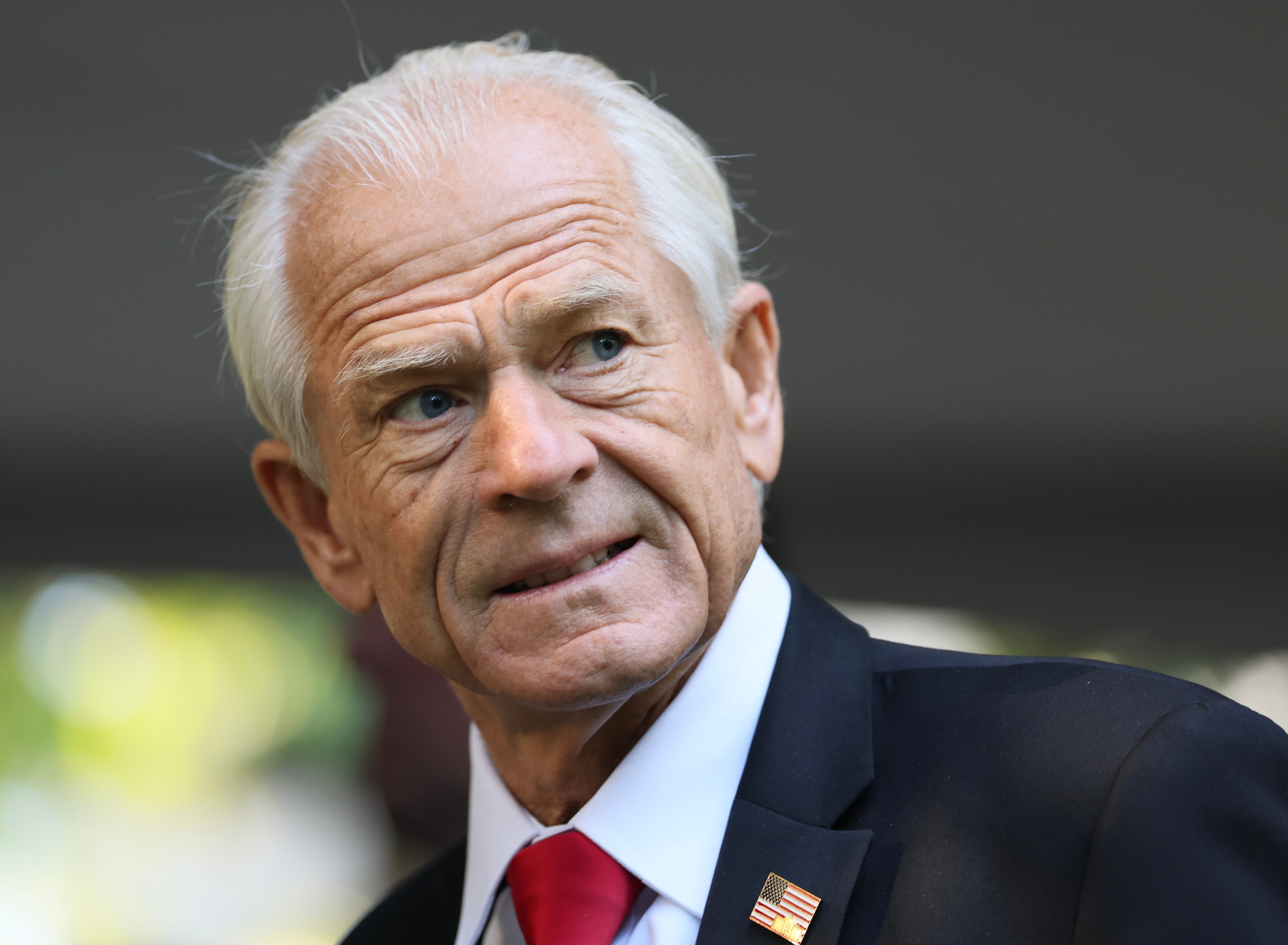 Peter Navarro, White House senior trade adviser, demanded Elon Musk clean up his social media platform in part by removing foreigners