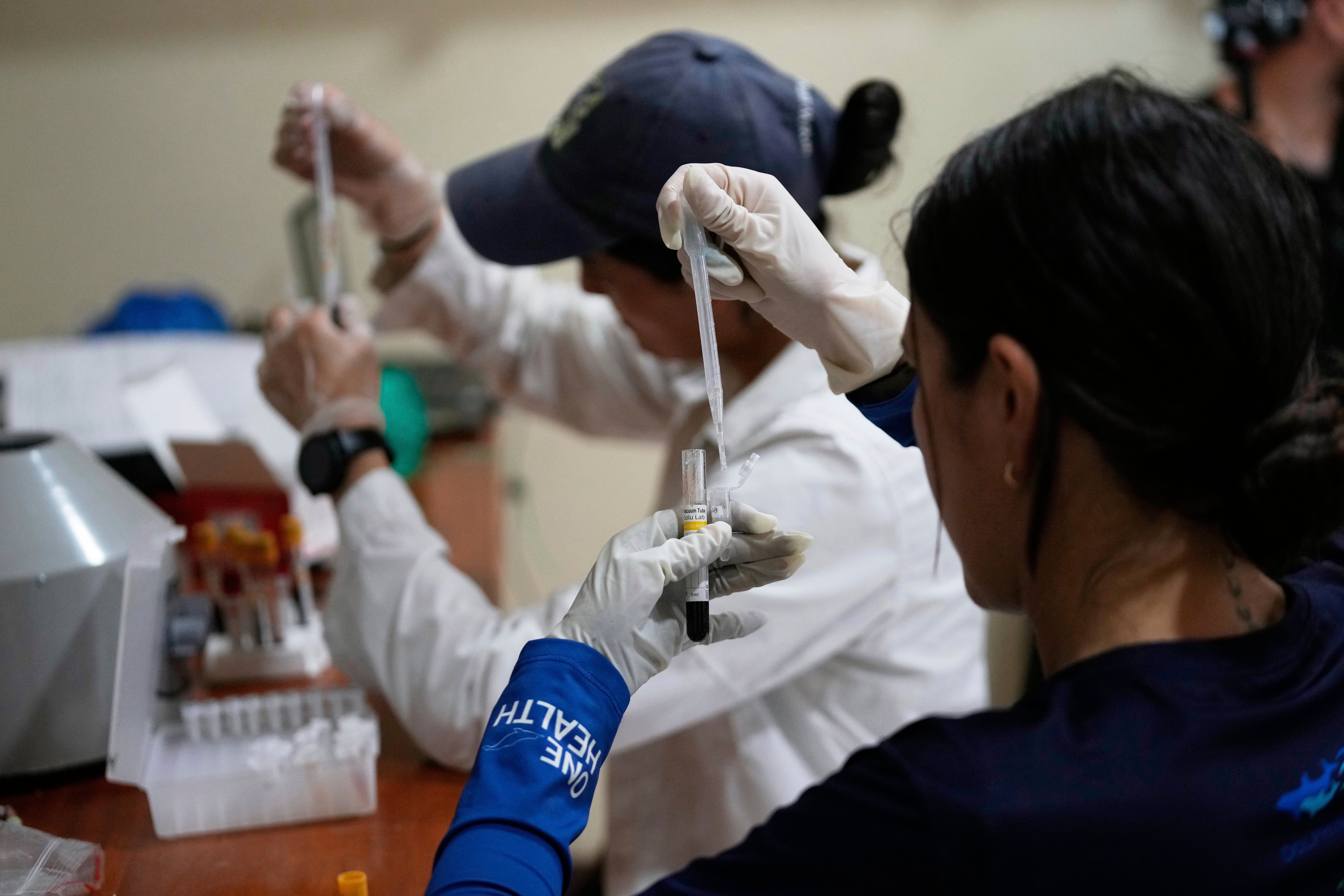 The finger-prick test being developed can be done at home and posted to a lab without refrigeration