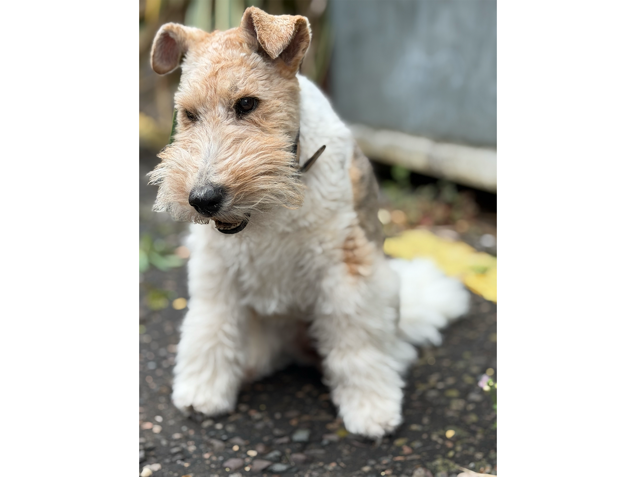 The extra 48MP makes for great photos