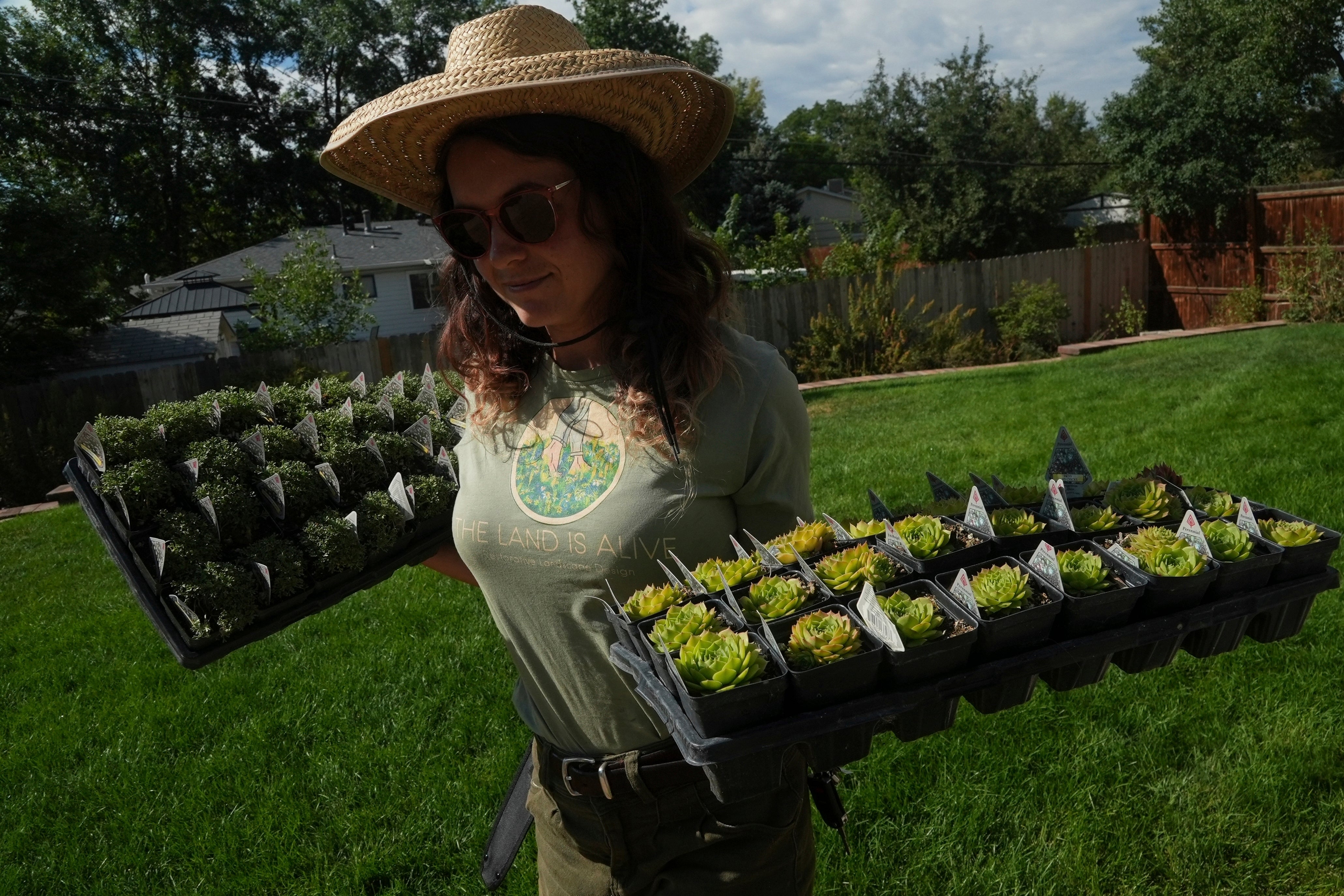 Climate Choices Lawns Water Saving