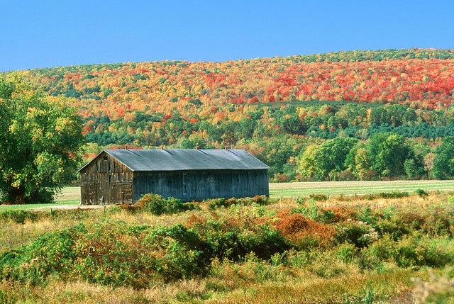 A fall view from the 63-mile-long Mohawk Trail in Massachusetts, which runs from the town of Orange to North Adams