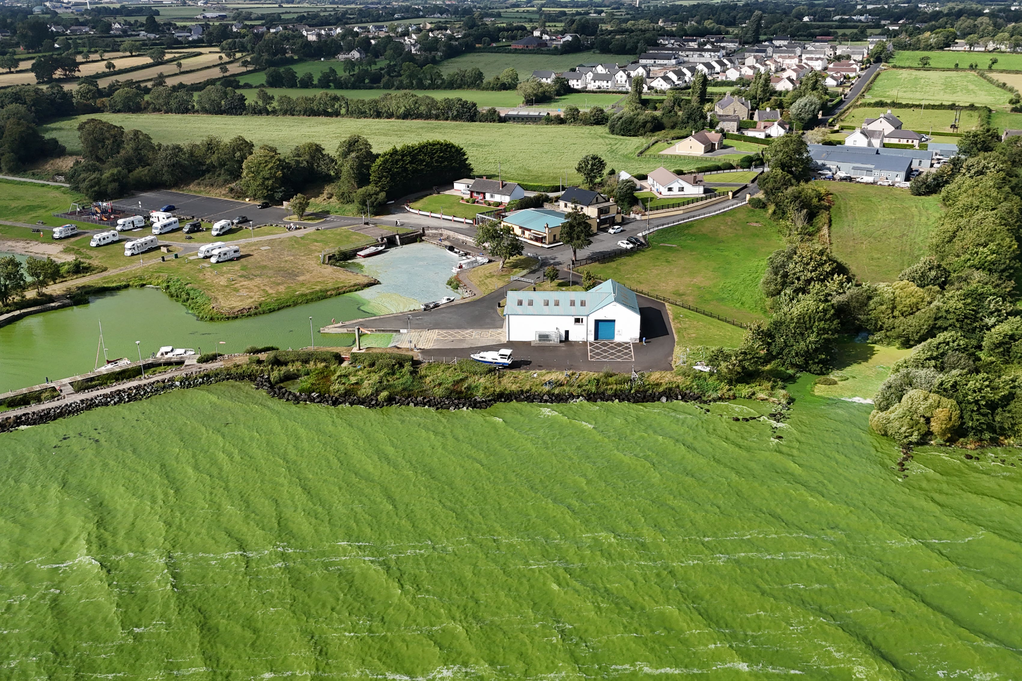 Blue-green algae at Battery Harbour on Lough Neagh near Cookstown in Co Tyrone (PA)