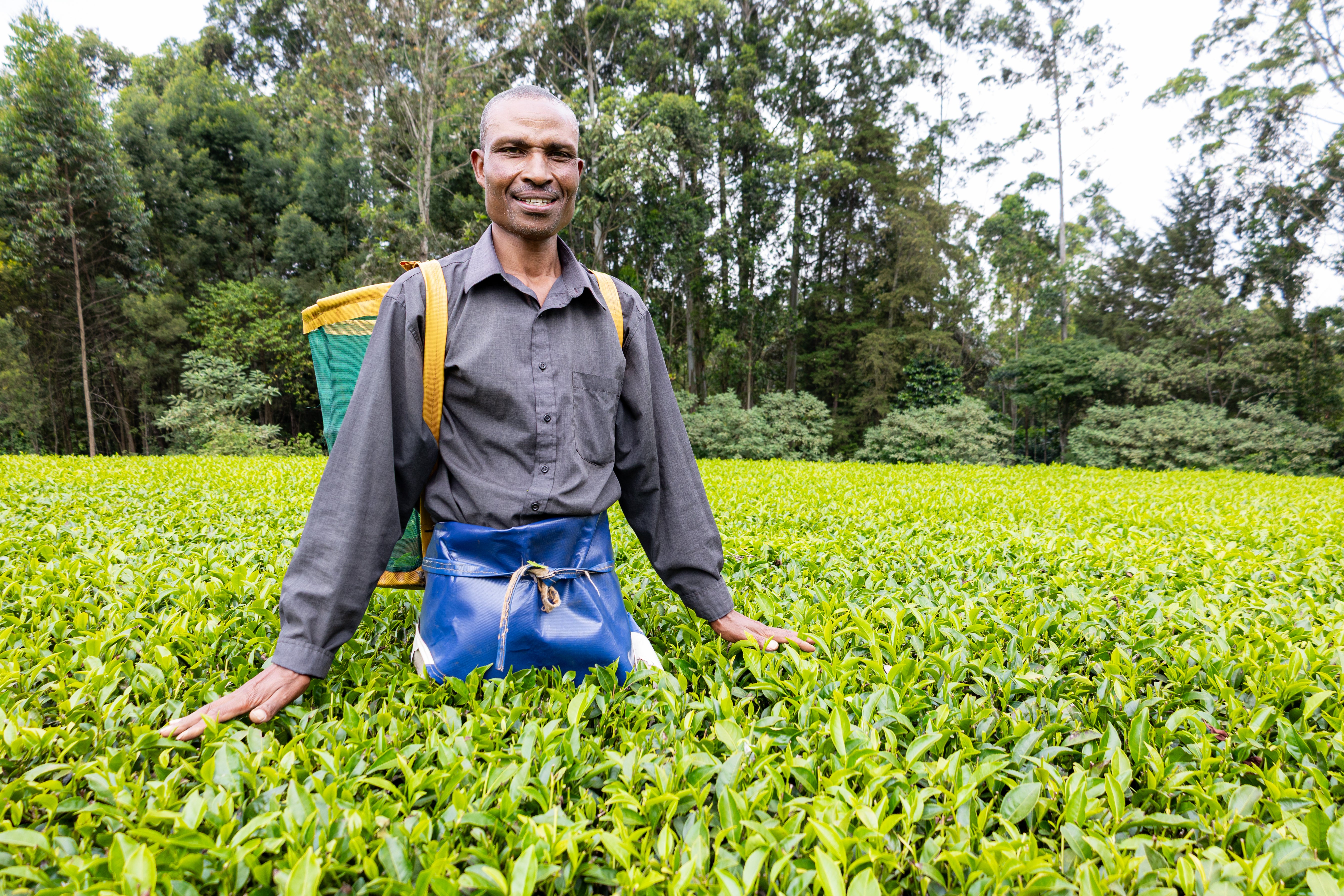 Edmund Biwott told The Independent how hailstorms have been ruining his tea crop - something that never happened ten years ago