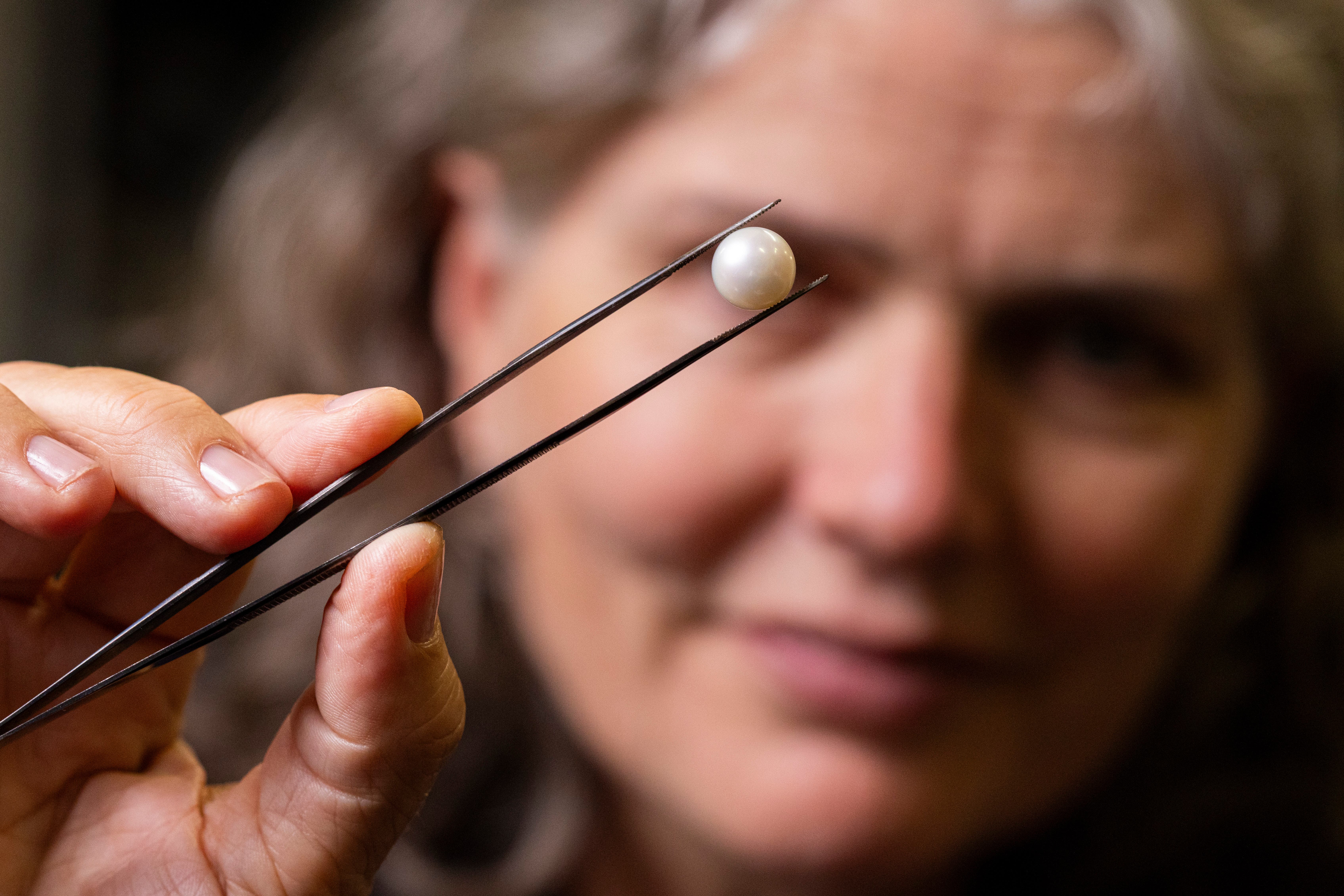 A ‘one-of-a-kind’ pearl and the largest found in Scotland for more than 400 years has gone on display at the National Museum of Scotland