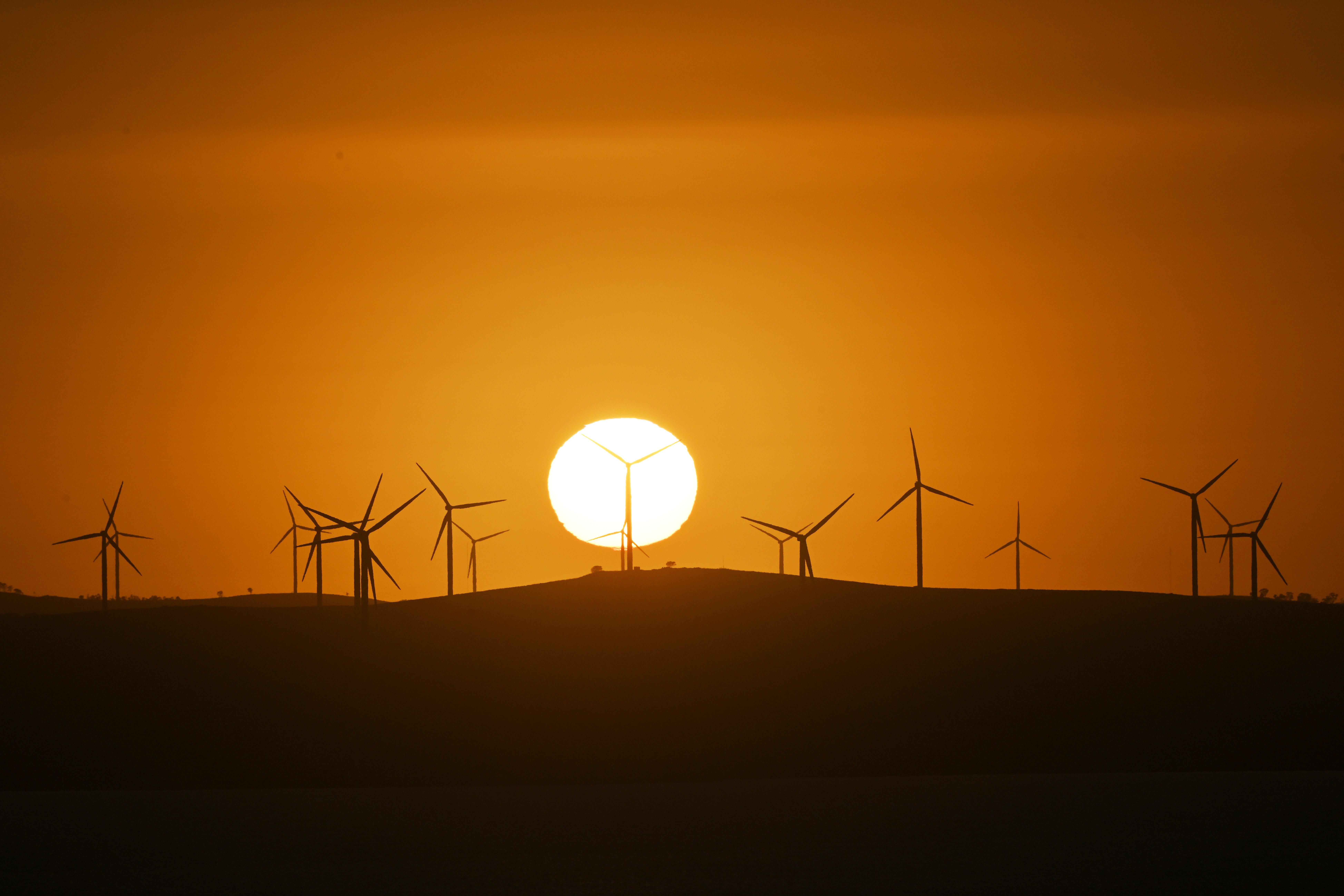 Donald Trump is an opponent of wind farms