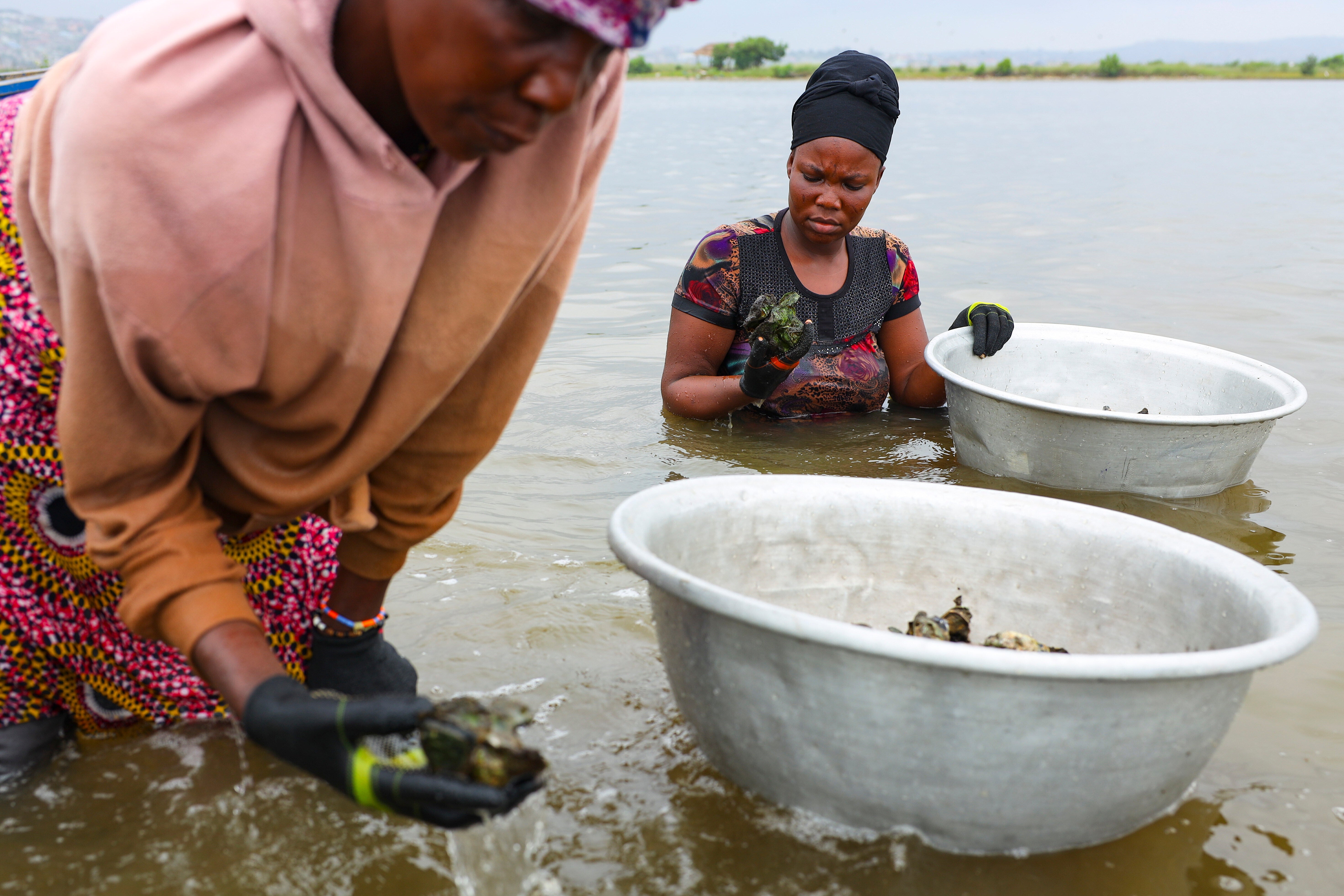 Ghana Women Oyster Farming