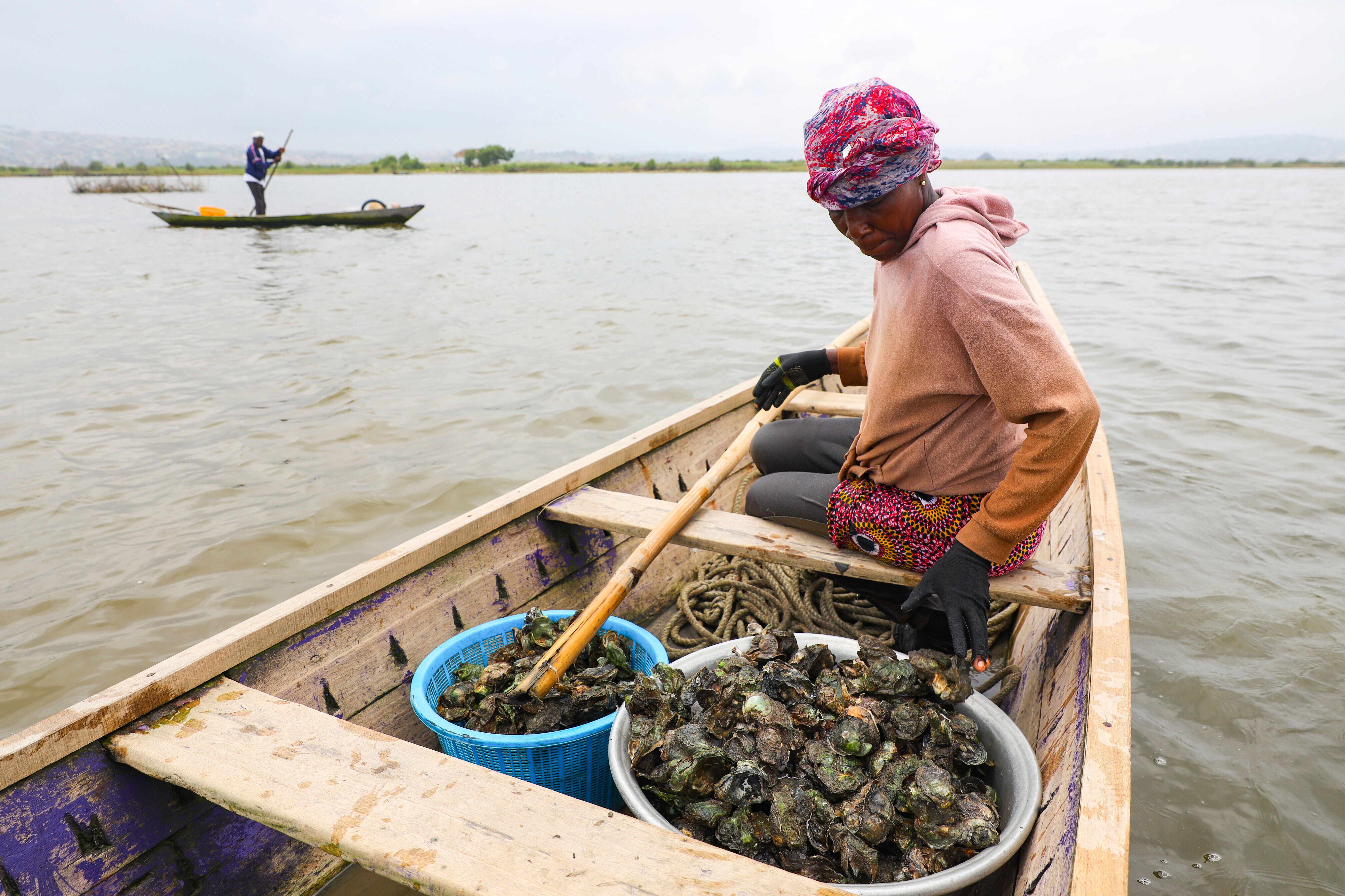 Ghana Women Oyster Farming