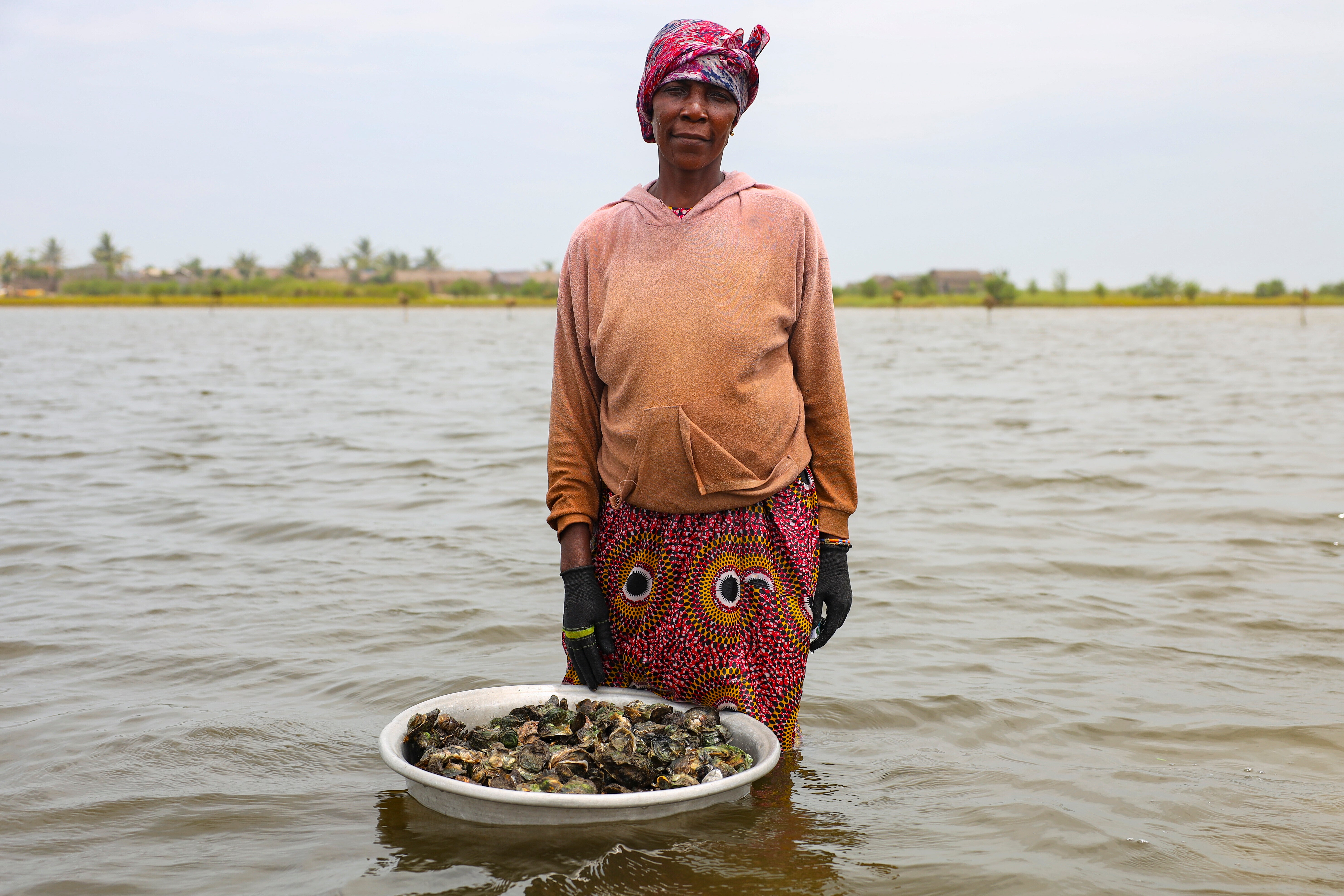 Ghana Women Oyster Farming