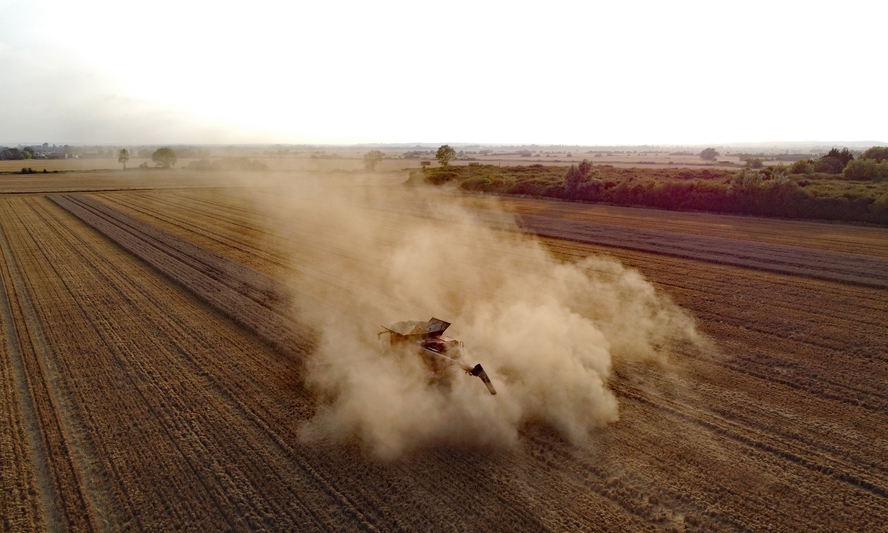 A combine harvester works in to the evening to gather a crop of corn on the Romney Marsh in Kent (Gareth Fuller/PA)