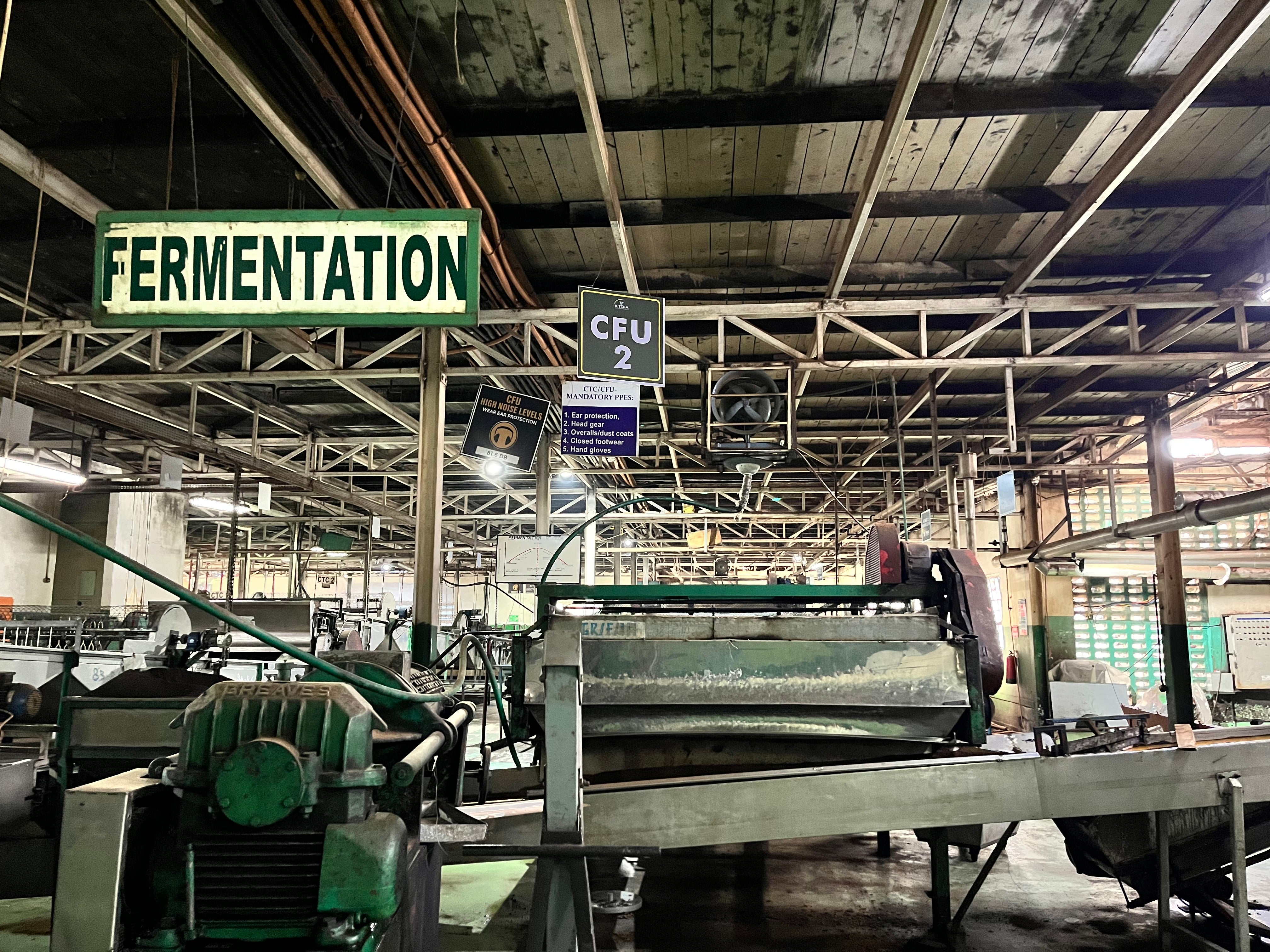 Visiting the Gatunguru tea processing factory at night, the machinery lay quiet due to the unusually low volume of tea crop that was being produced