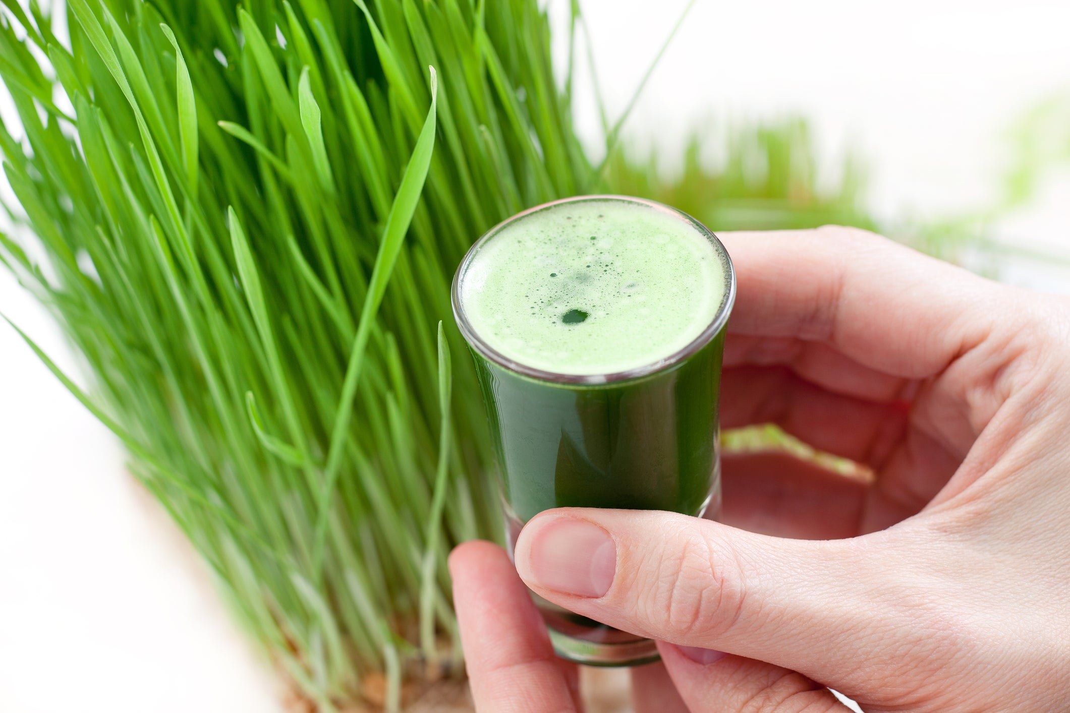 Wheatgrass také obsahuje flavonoidy, což jsou rostlinné chemikálie, které hrají důležitou roli v boji proti rakovině a zvyšují imunitní zdraví