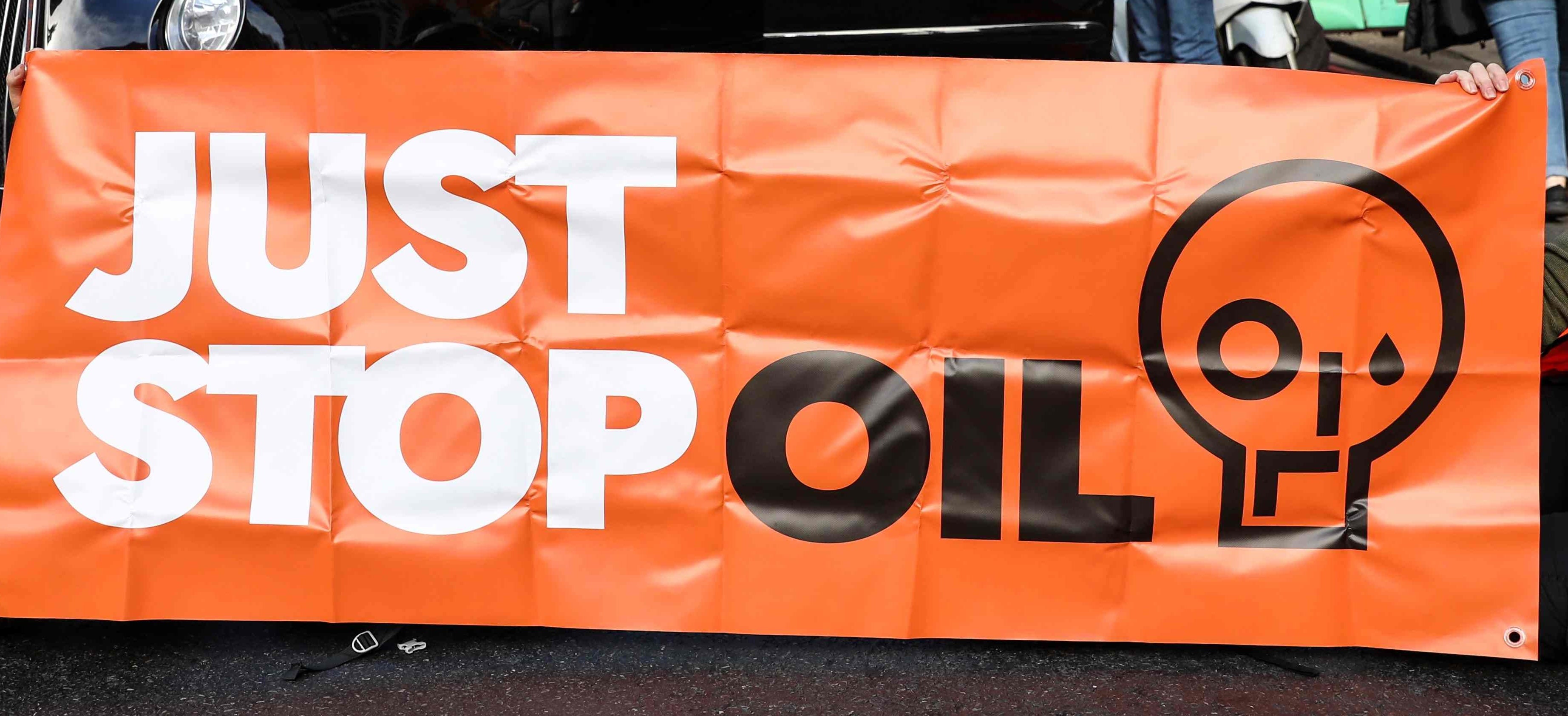 The pair breached the perimeter fence at Stansted Airport in Essex with an angle grinder then took turns spraying two planes