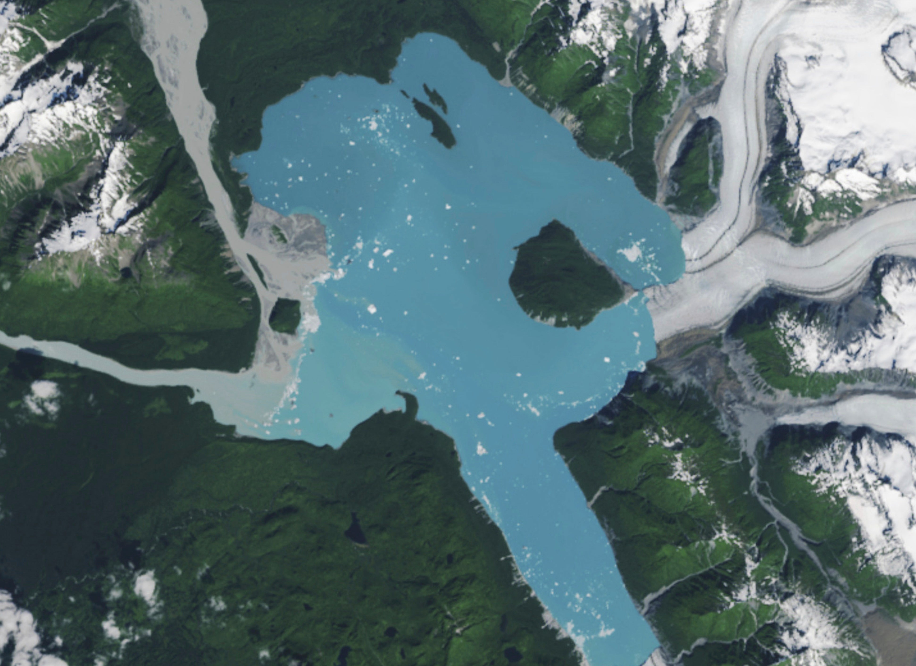 This satellite image provided by NASA Earth Observatory shows the retreat of Alsek Glacier in Glacier Bay National Park and Preserve in Alaska, as it loses contact with a land mass known as Prow Knob, center right, revealing an island, Aug. 6, 2025. (NASA Earth Observatory via AP)