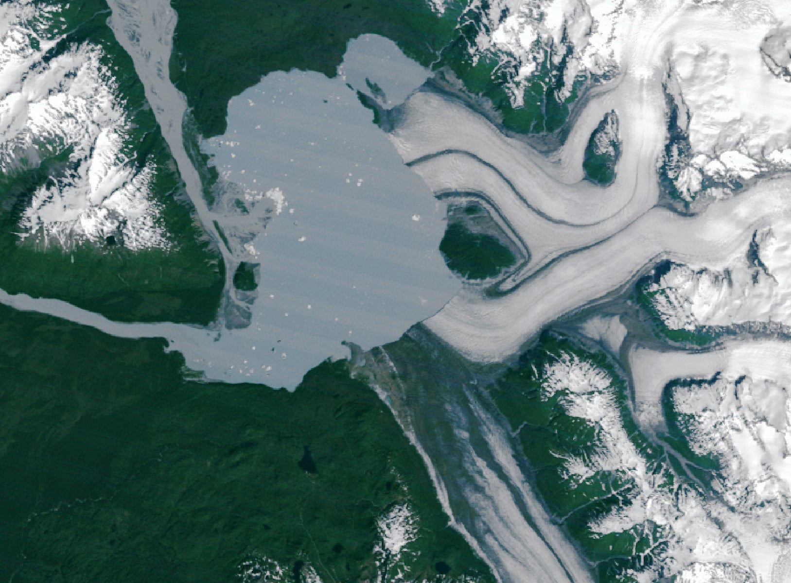 This satellite image provided by NASA Earth Observatory shows the Alsek Glacier in Glacier Bay National Park and Preserve in Alaska around much of a land mass known as Prow Knob, center right, with a lake bordering on one side, July 5, 1984. (NASA Earth Observatory via AP)