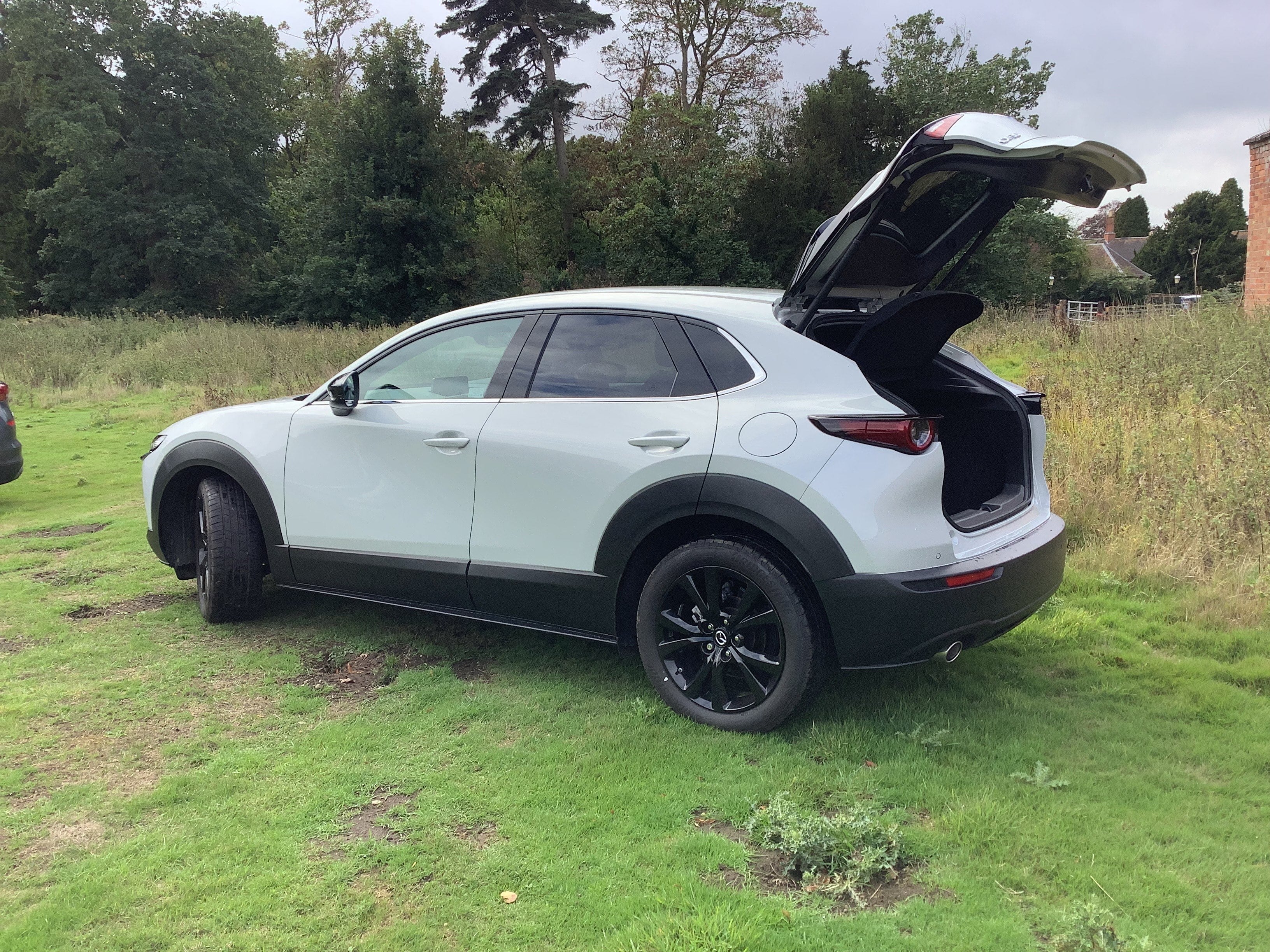 Tight behind: Cramped back seats and lack of room in the boot are a drawback