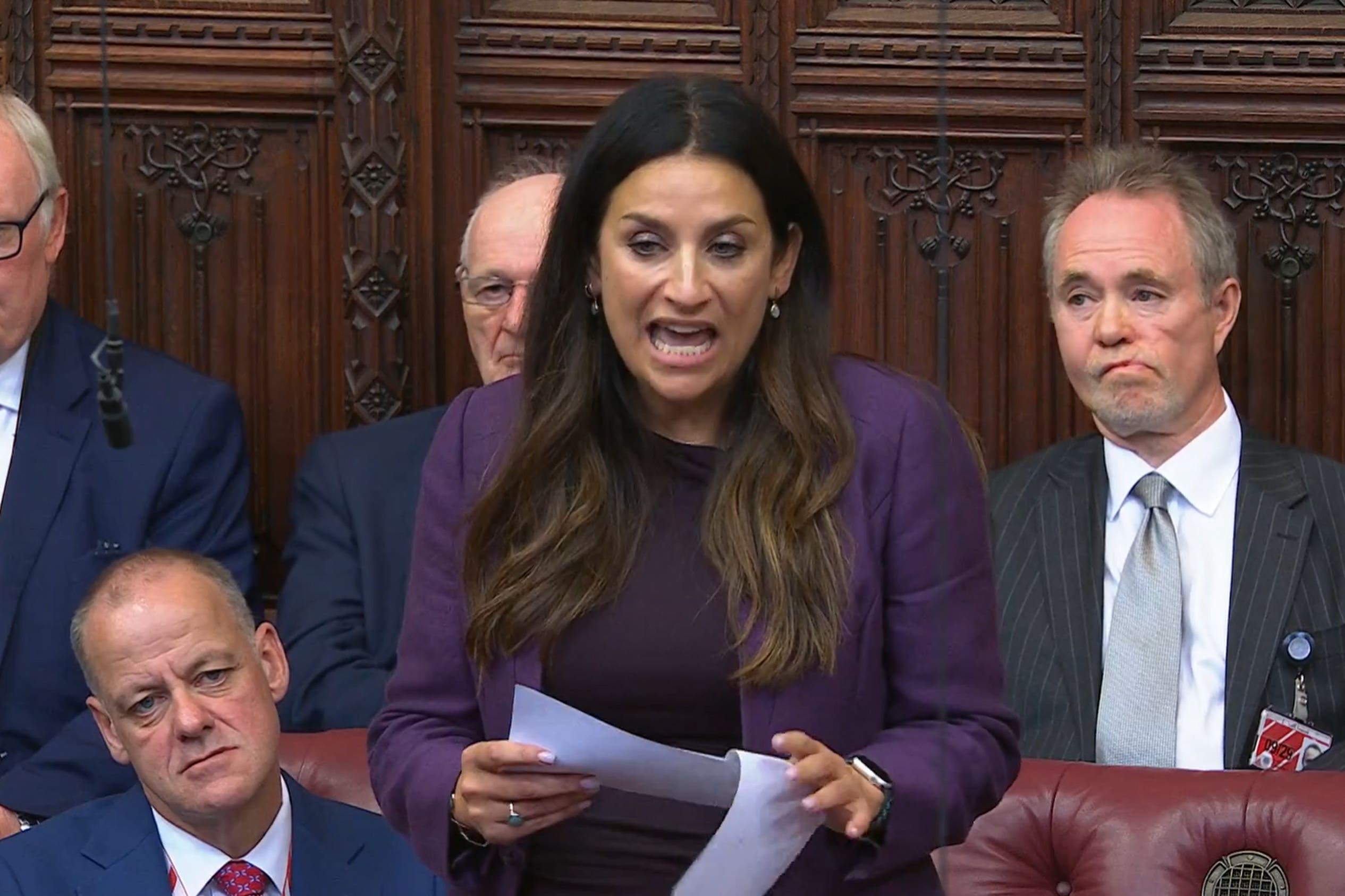 Baroness Berger voiced concerns about the Bill (Parliament TV/PA)