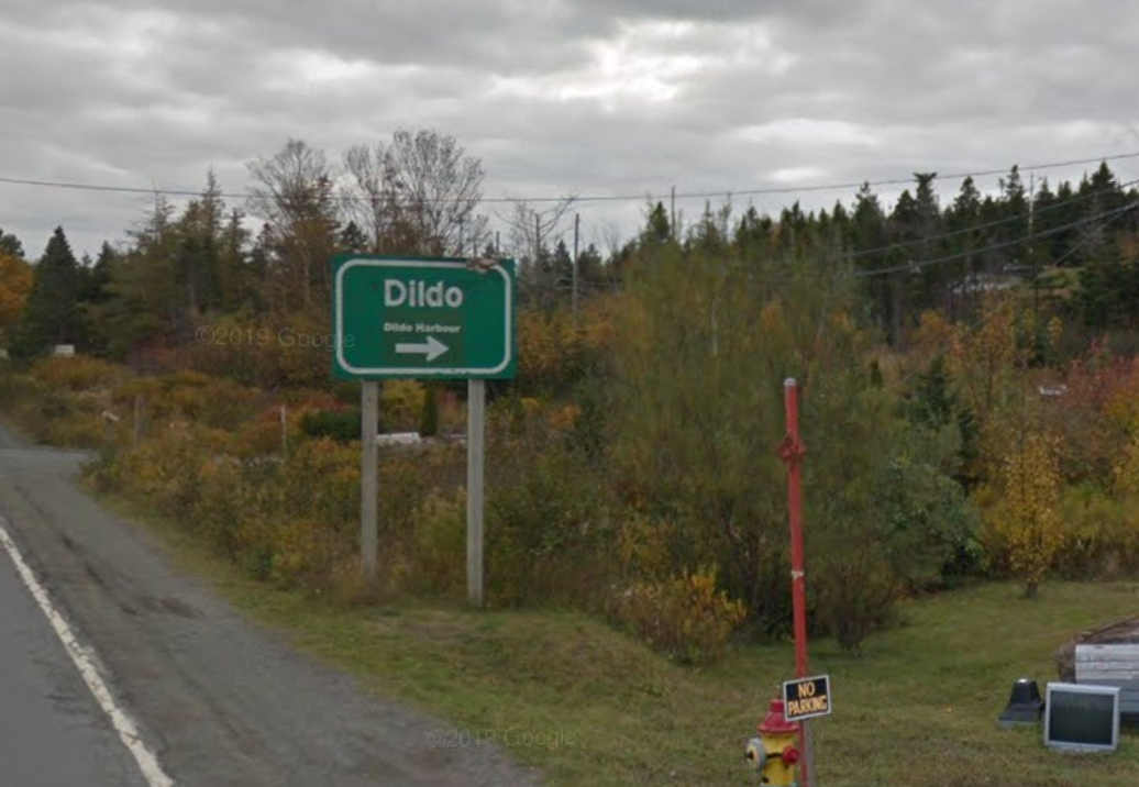 Dildo is a local service district and designated place in the Canadian province of Newfoundland and Labrador on the island of Newfoundland, located on the southeastern Dildo Arm of Trinity Bay around 60 miles west of St. John's. In 2021 it had a population of just 195