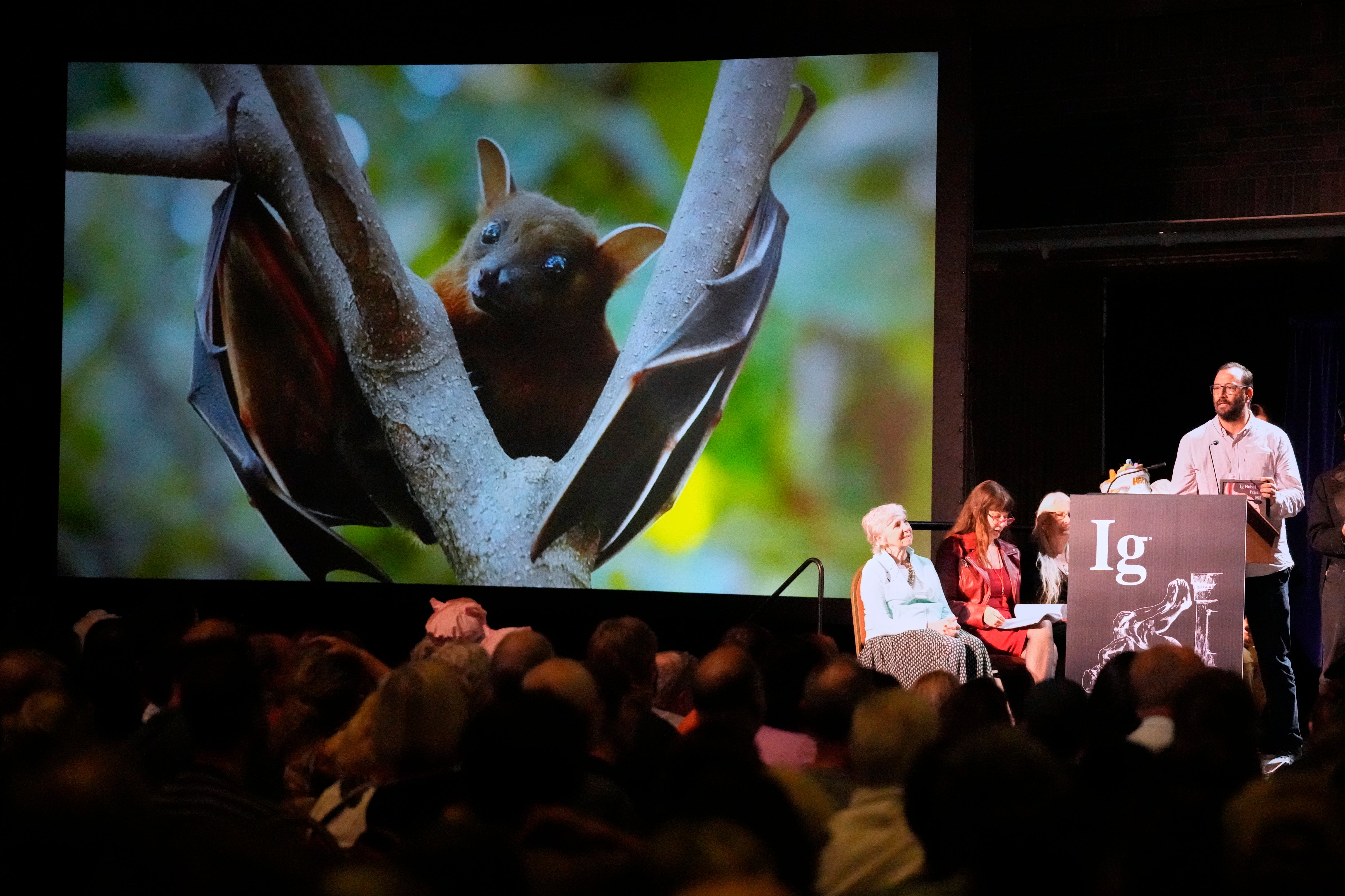 The Ig Nobel Prize for aviation is accepted by Francisco Sanchez for studying whether ingesting alcohol can impair bats' ability to fly