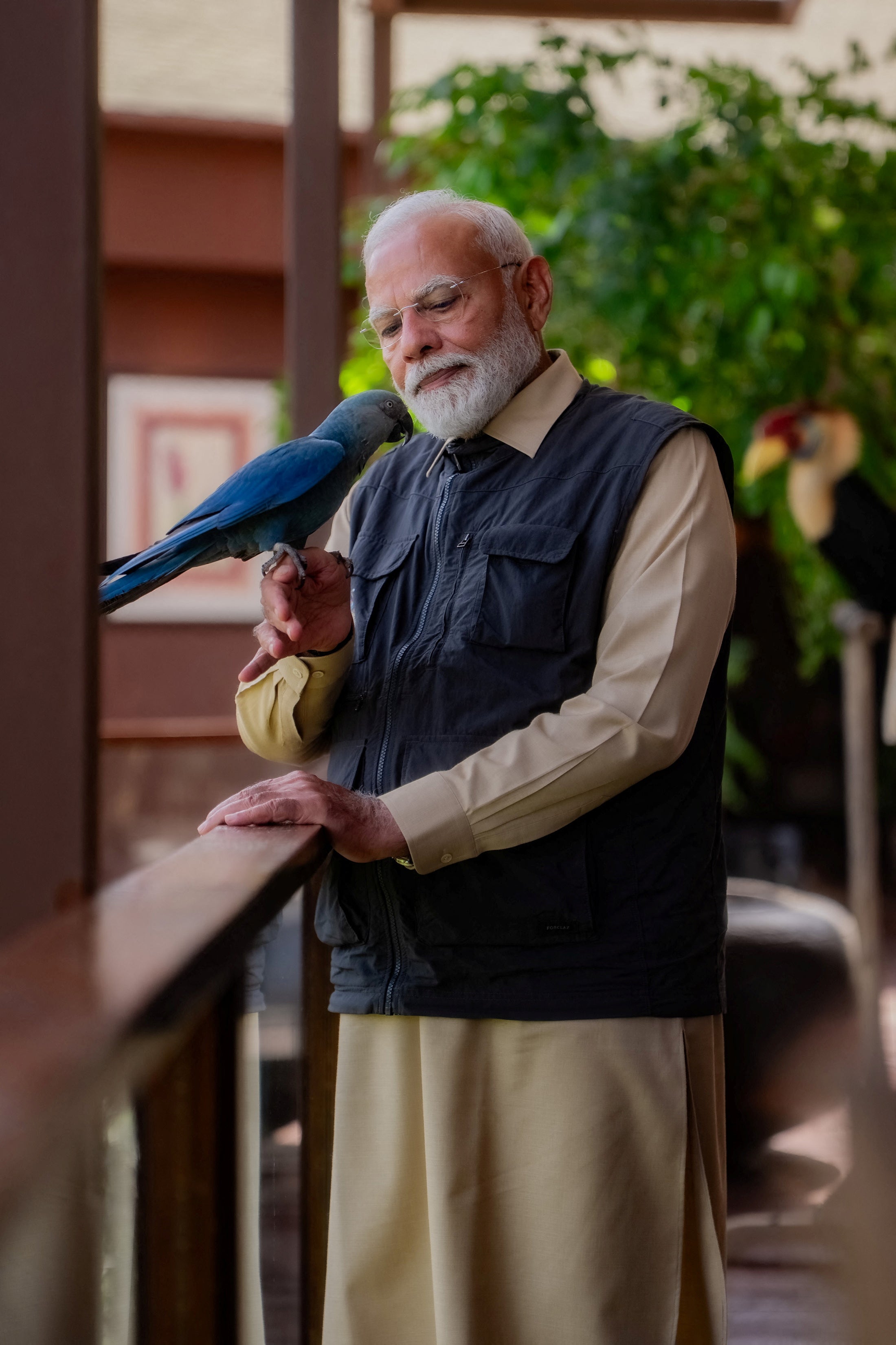 India's Prime Minister Narendra Modi with a Spix's macaw at Vantara