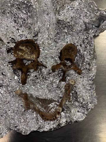 The passenger said the remains were for 'rituals'