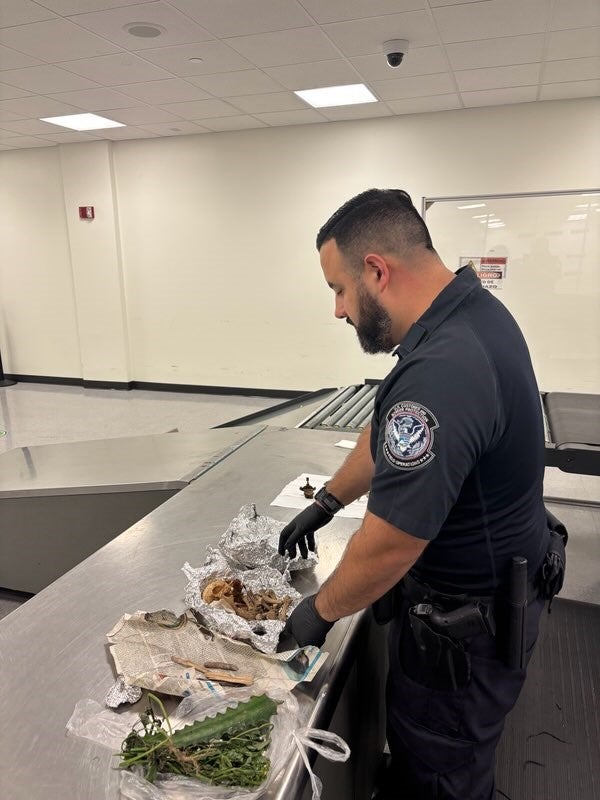 Pictures shared by Martel showed CBP officials wearing gloves as they examined the luggage
