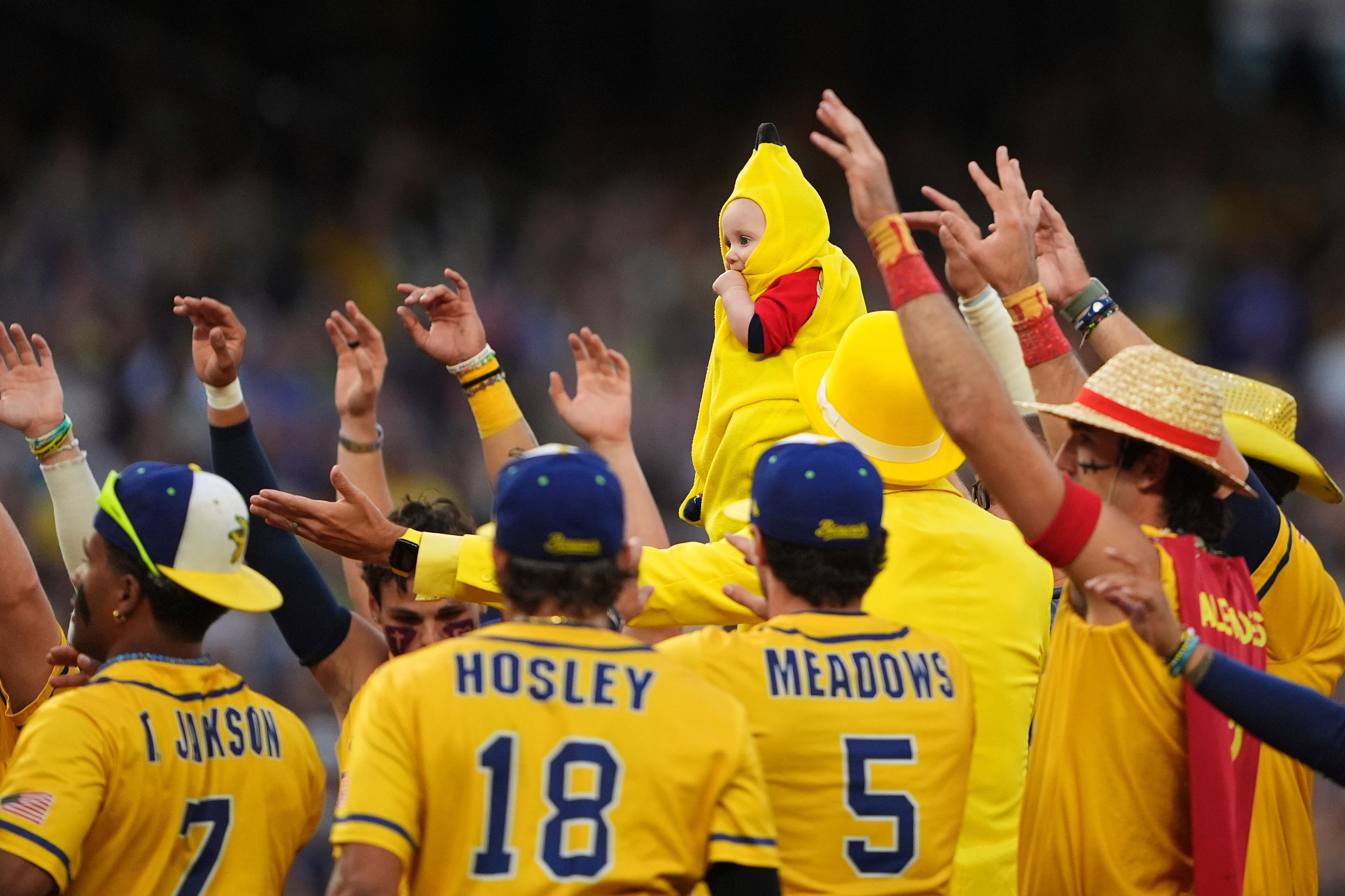 Savannah Bananas Baseball