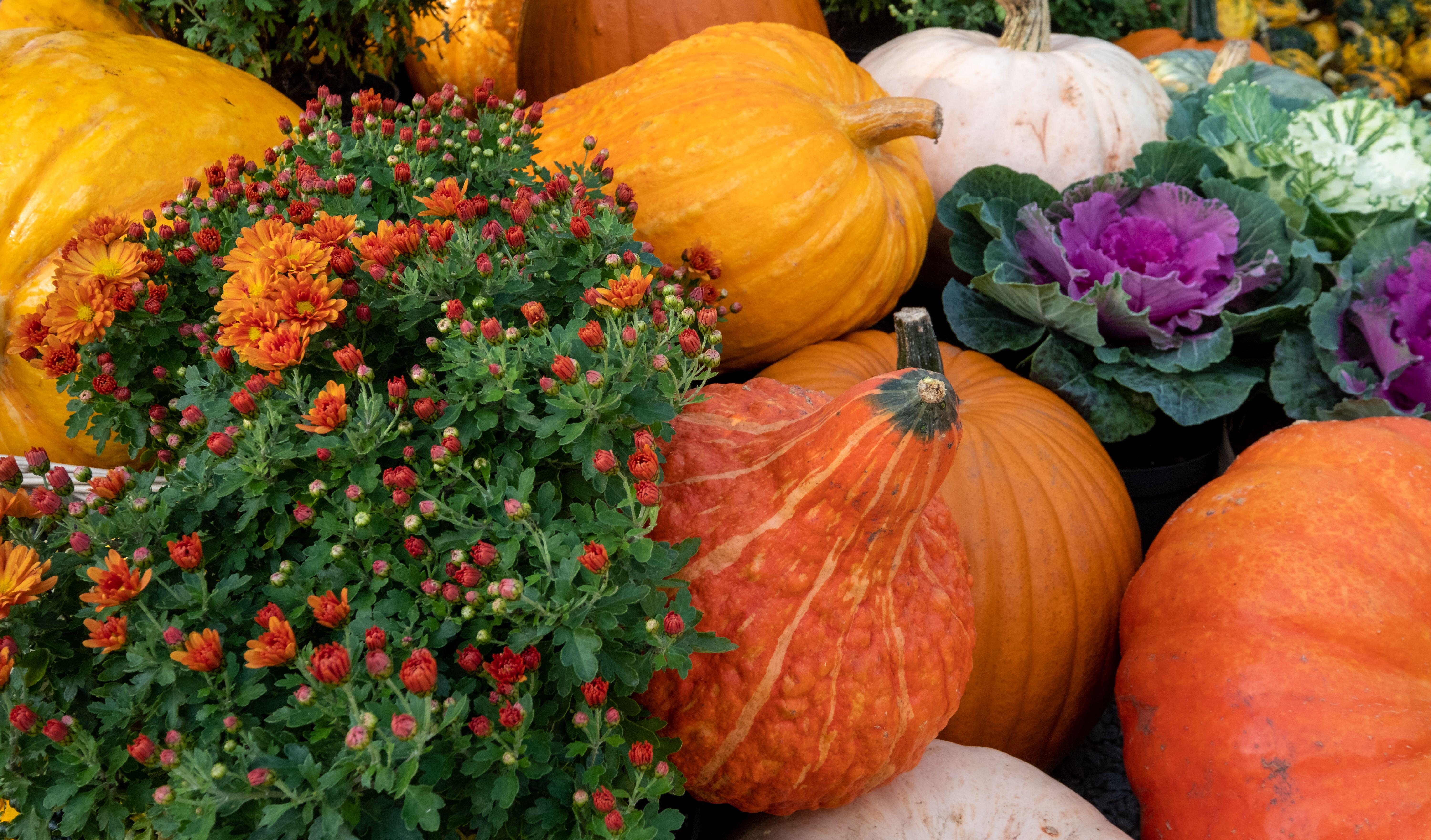 Autumn is a time of harvest abundance