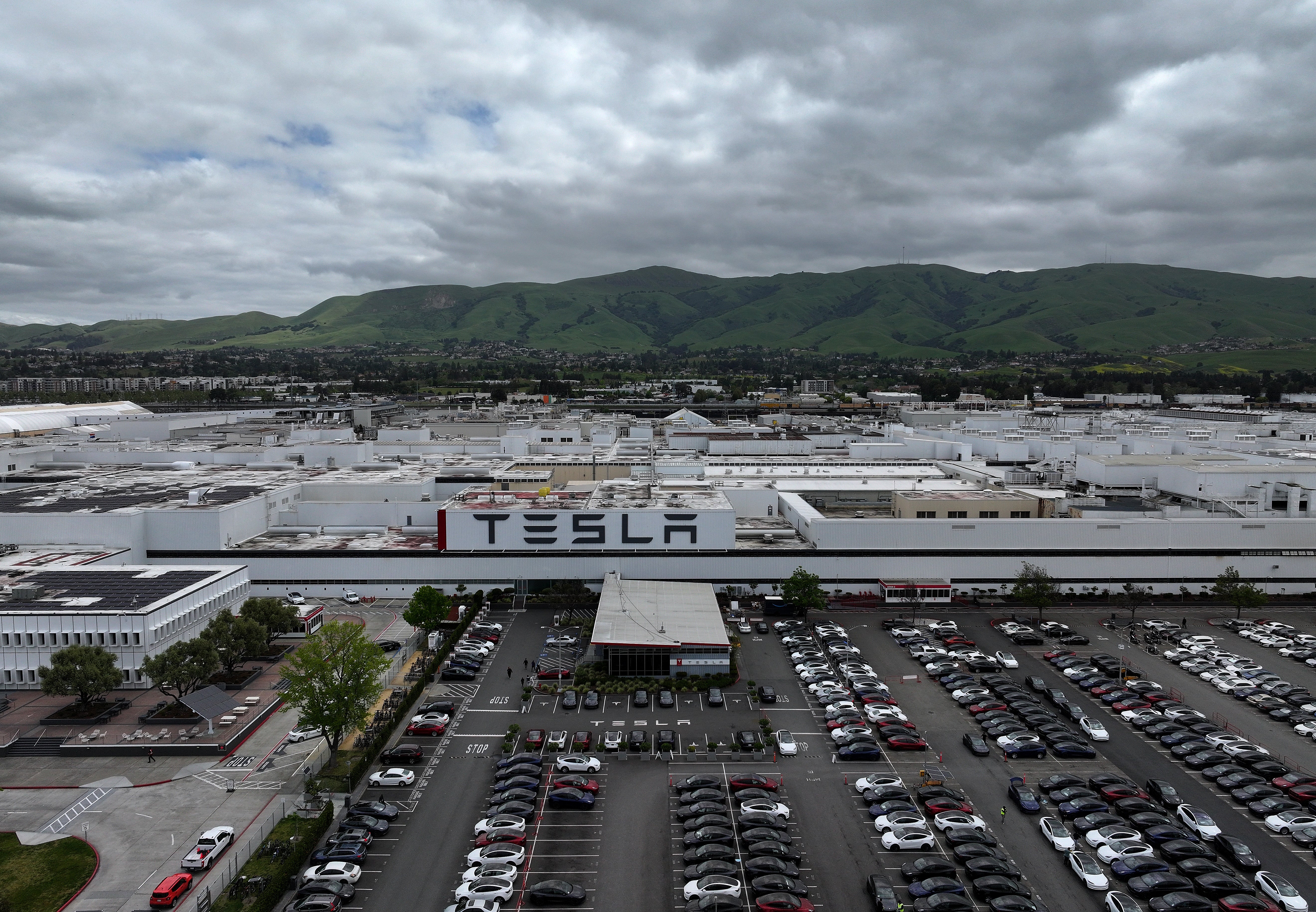 Peter Hinterdobler worked at Tesla's gargantuan plant in Fremont, California, which other employees claim is a hotbed of drugs, guns and sexual assault. After allegedly being knocked unconscious by a robotic arm, Hinterdobler says he has racked up $1 million in medical bills – and counting