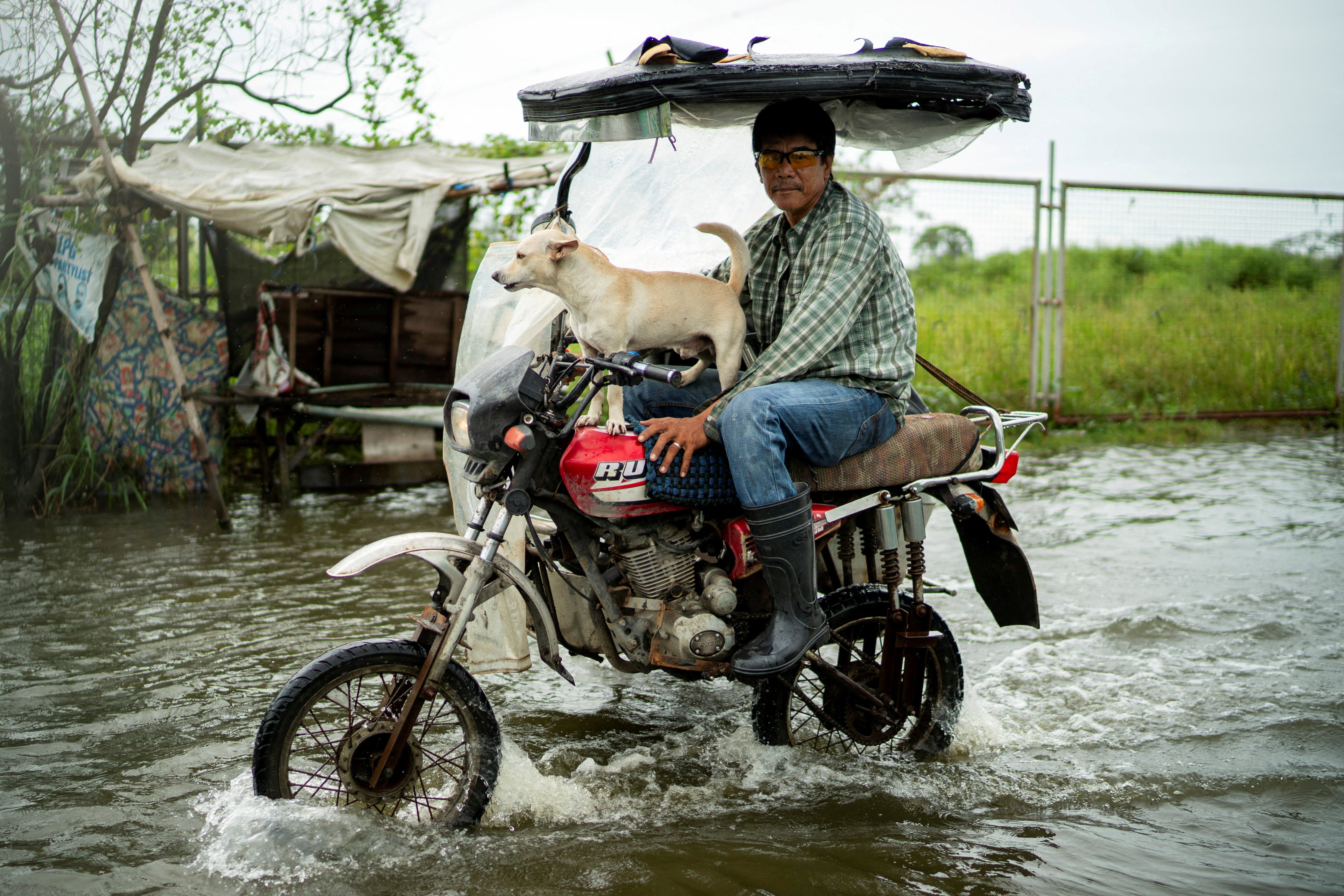 A motorist with a dog wades through a flooded road, following heavy rains intensified by Super Typhoon Ragasa, in Apalit, Pampanga province, Philippines