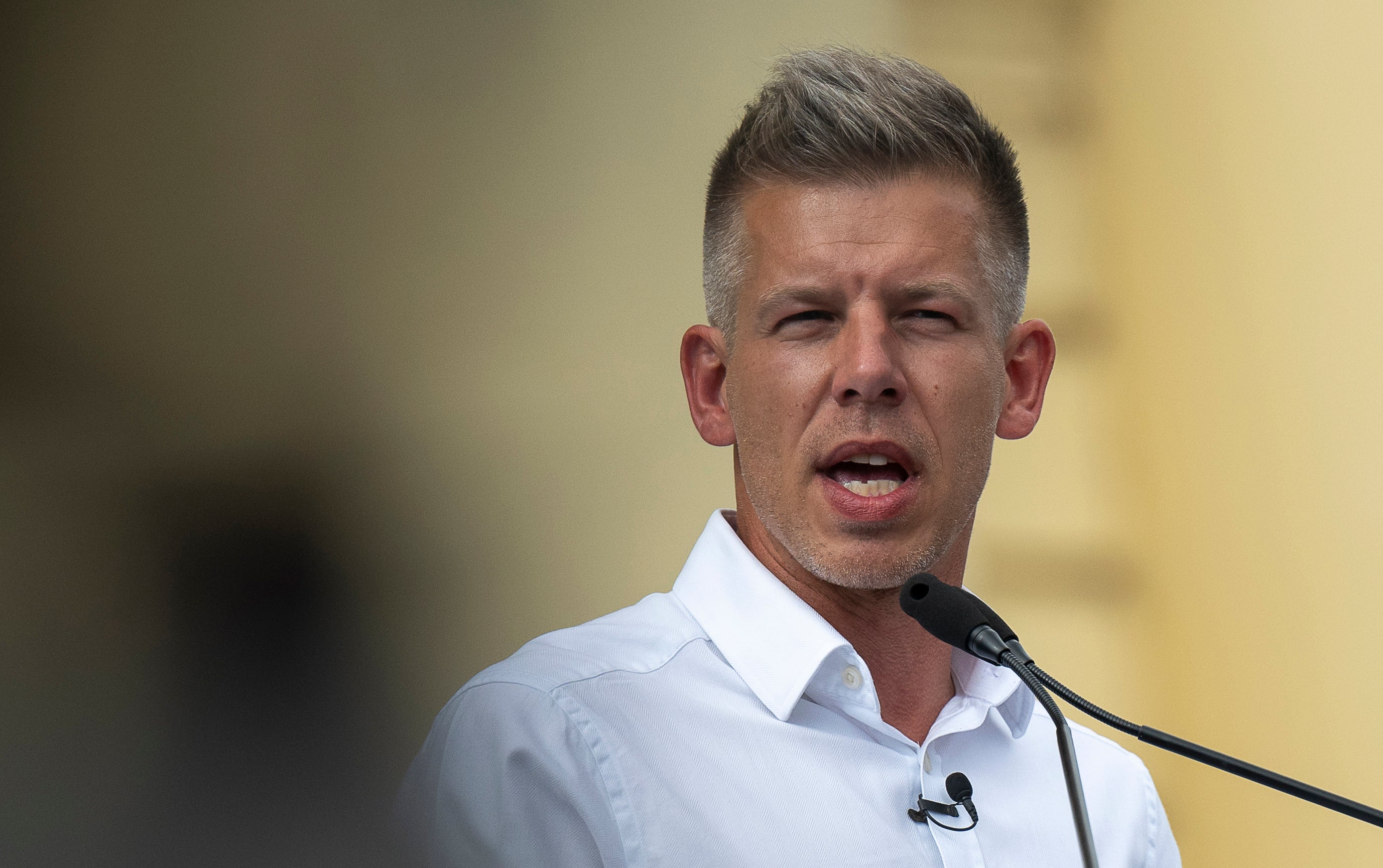 Hungary-Peter Magyar-Immunity