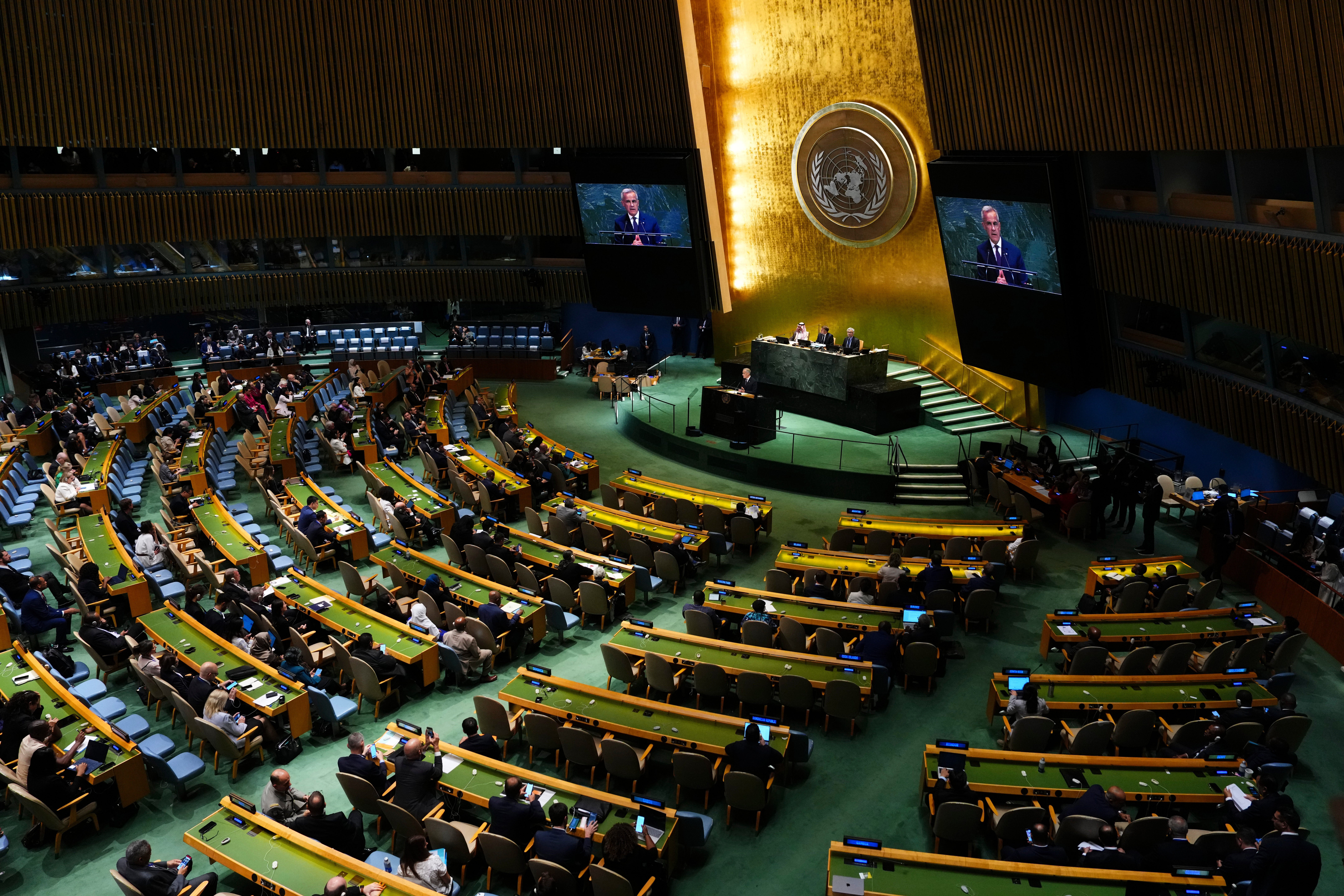 UN General Assembly