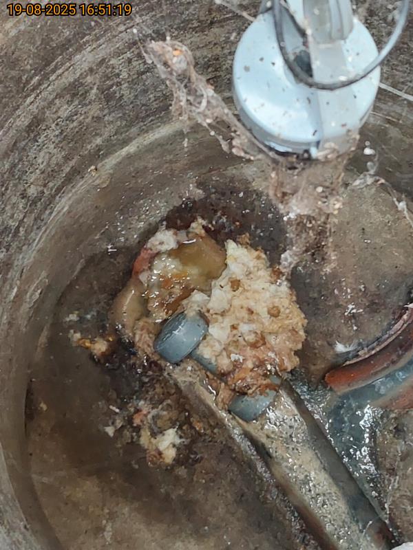 Artificial intelligence identified the dumbbell and fatberg blockage in Kent