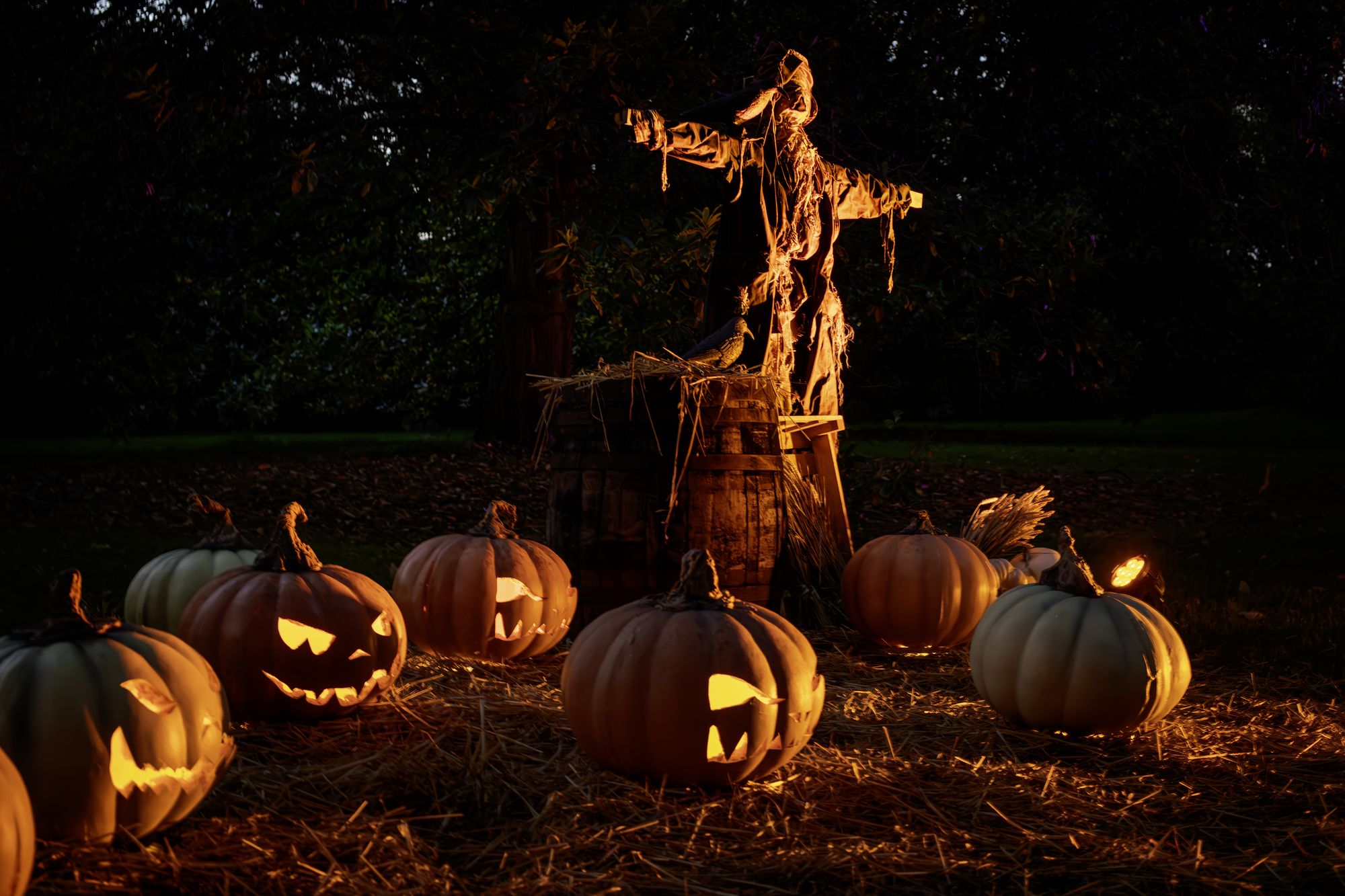 Kew Gardens is about to get a lot spookier with the Halloween light trail