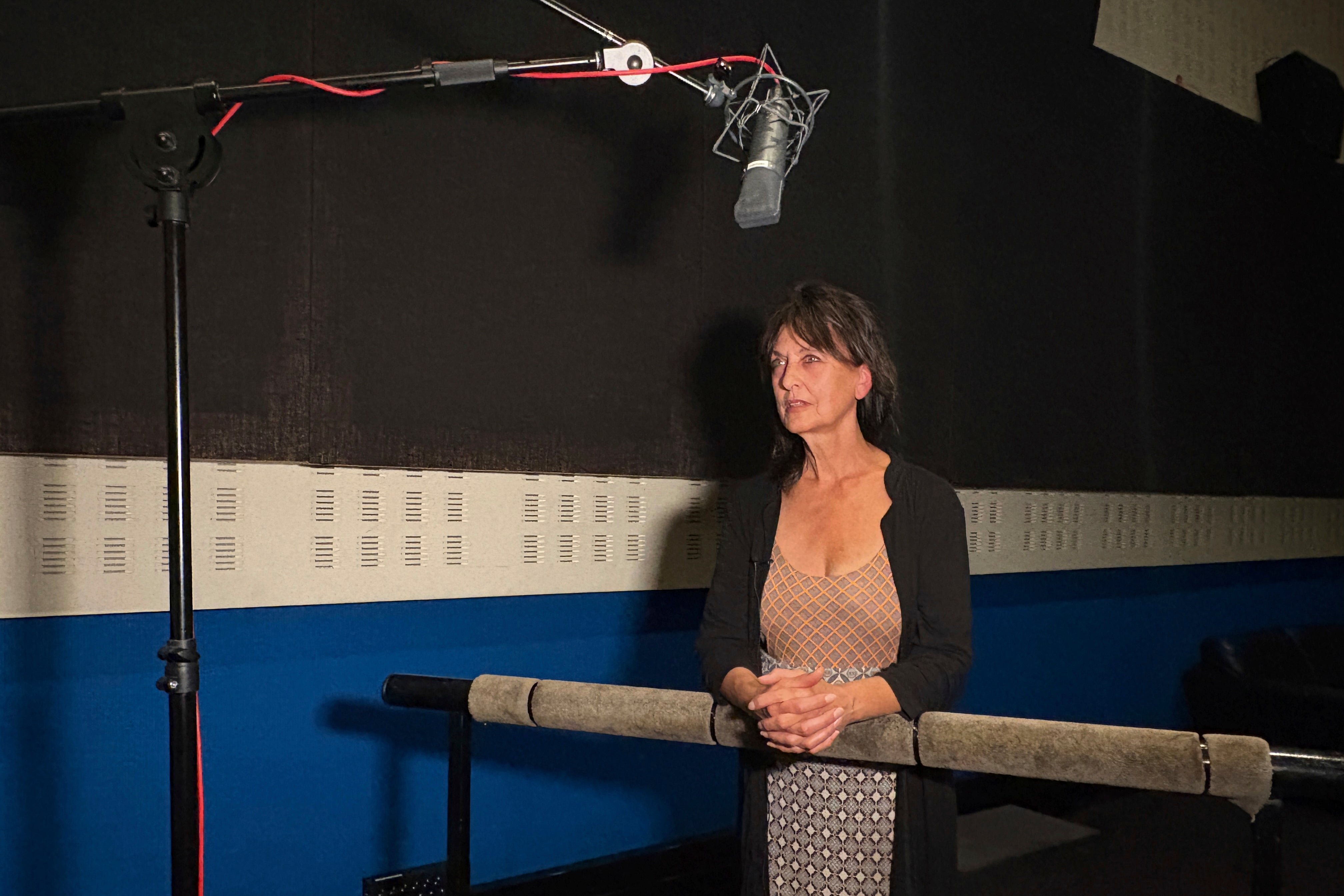 France AI Actors Silenced