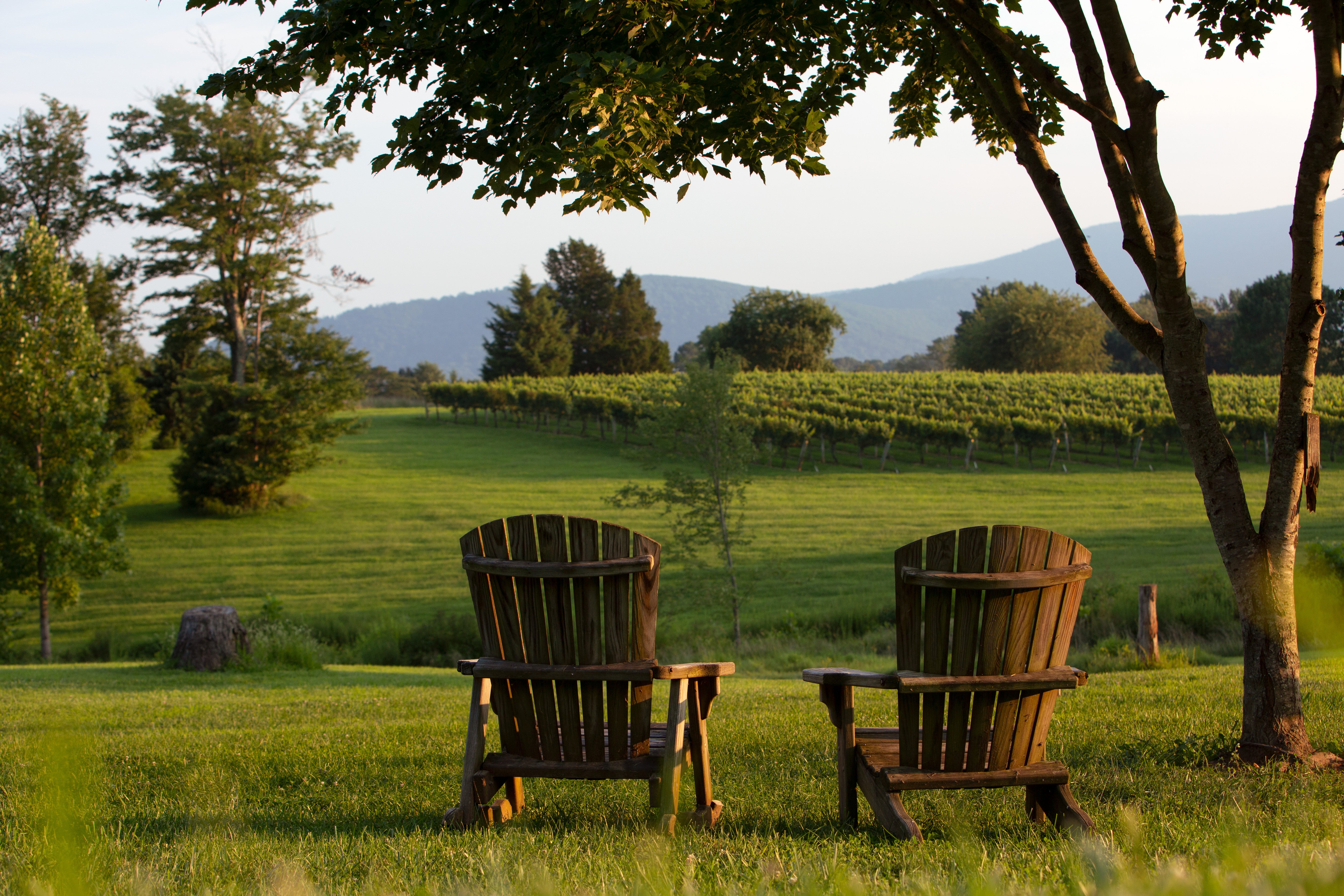 Born and Raised in Virginia