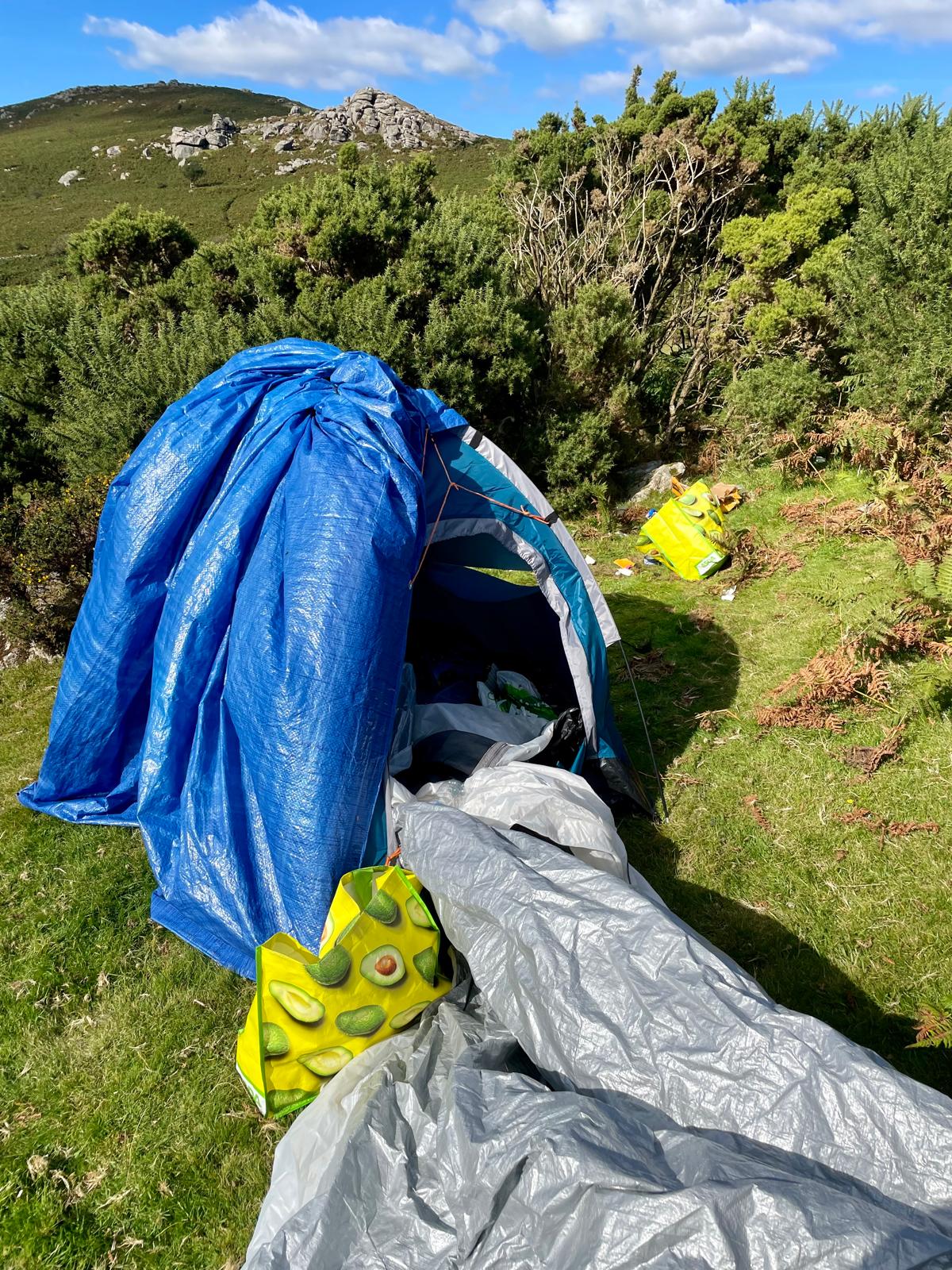 The behaviour has been attributed to hot weather