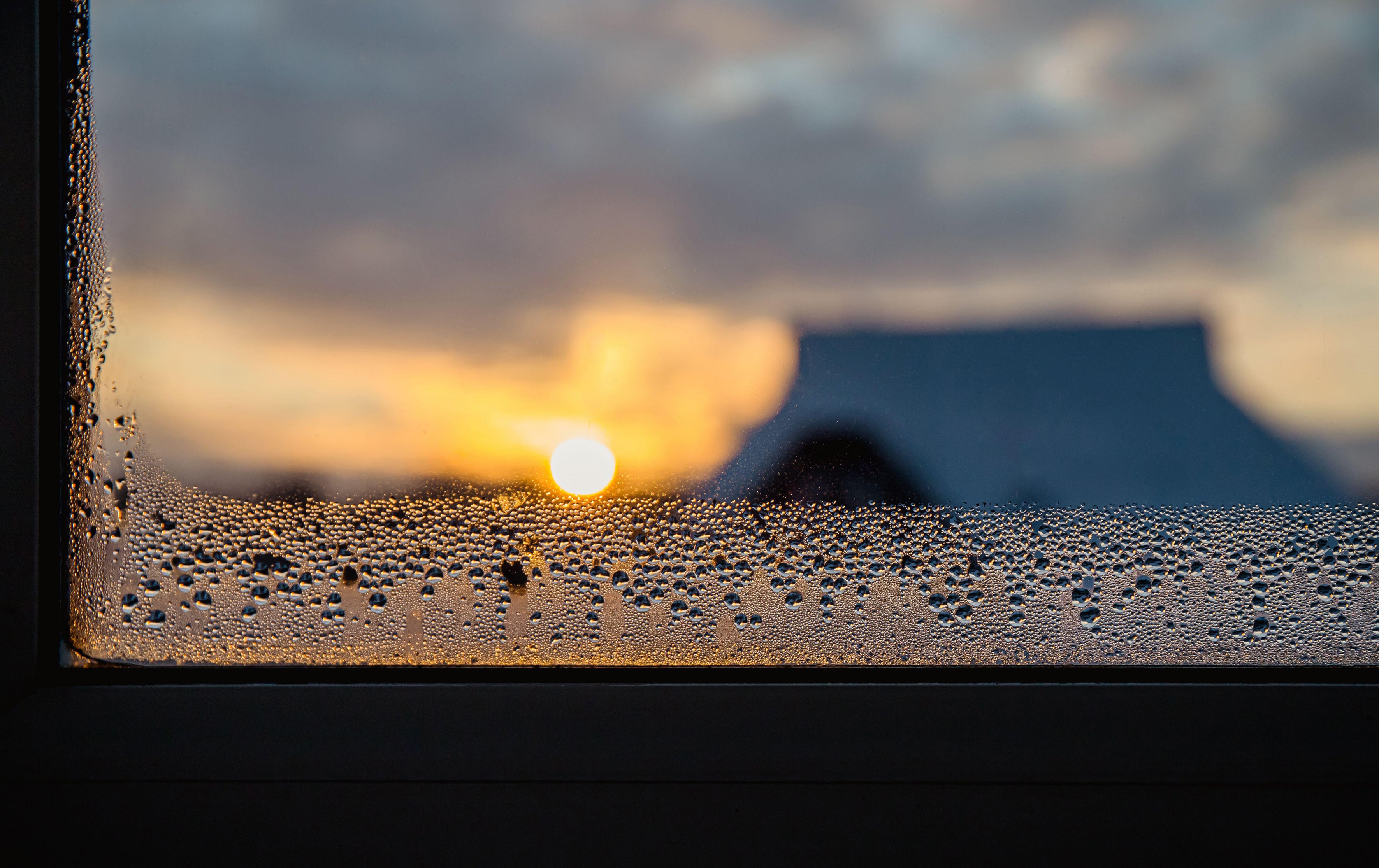 Persistent condensation on the inside of your windows is often a sign they need to be replaced