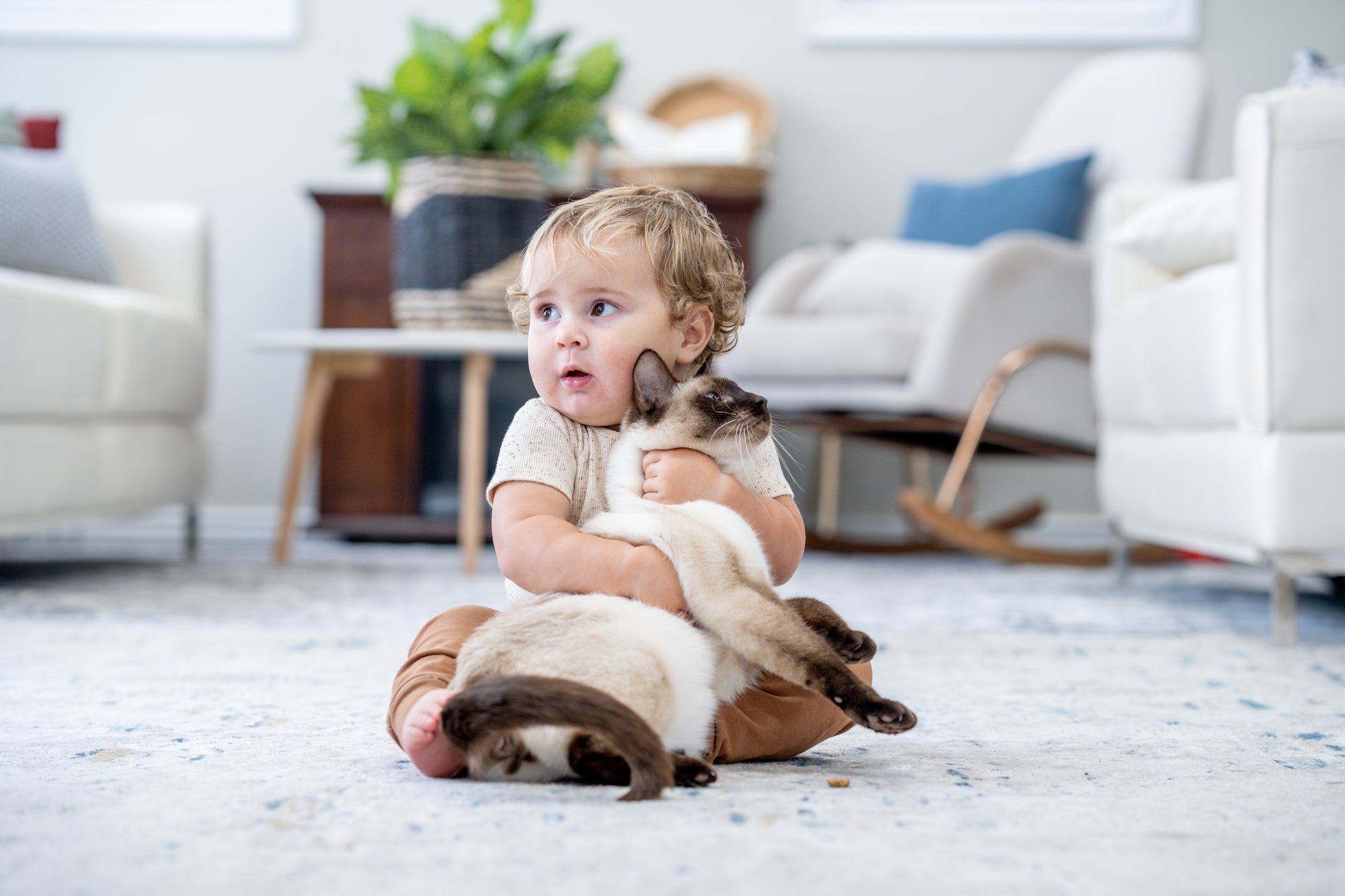 Cat allergens did not have the same protective effect as dog allergens on babies
