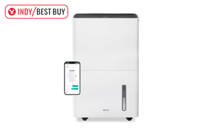 best-dehumidifier-indybest-review