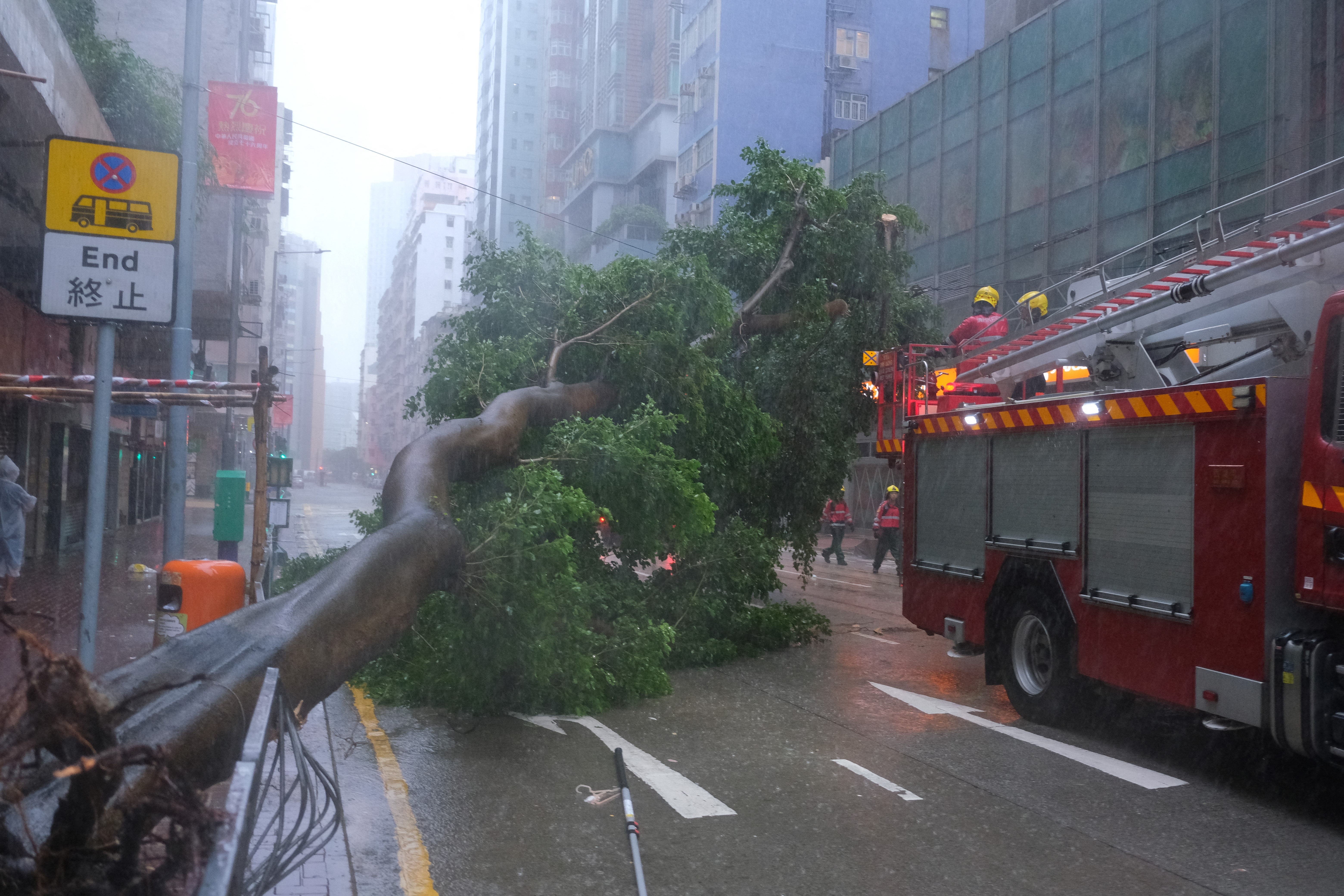 Firemen prepare to remove an uprooted tree as Ragasa hits Hong Kong on 24 September 2025
